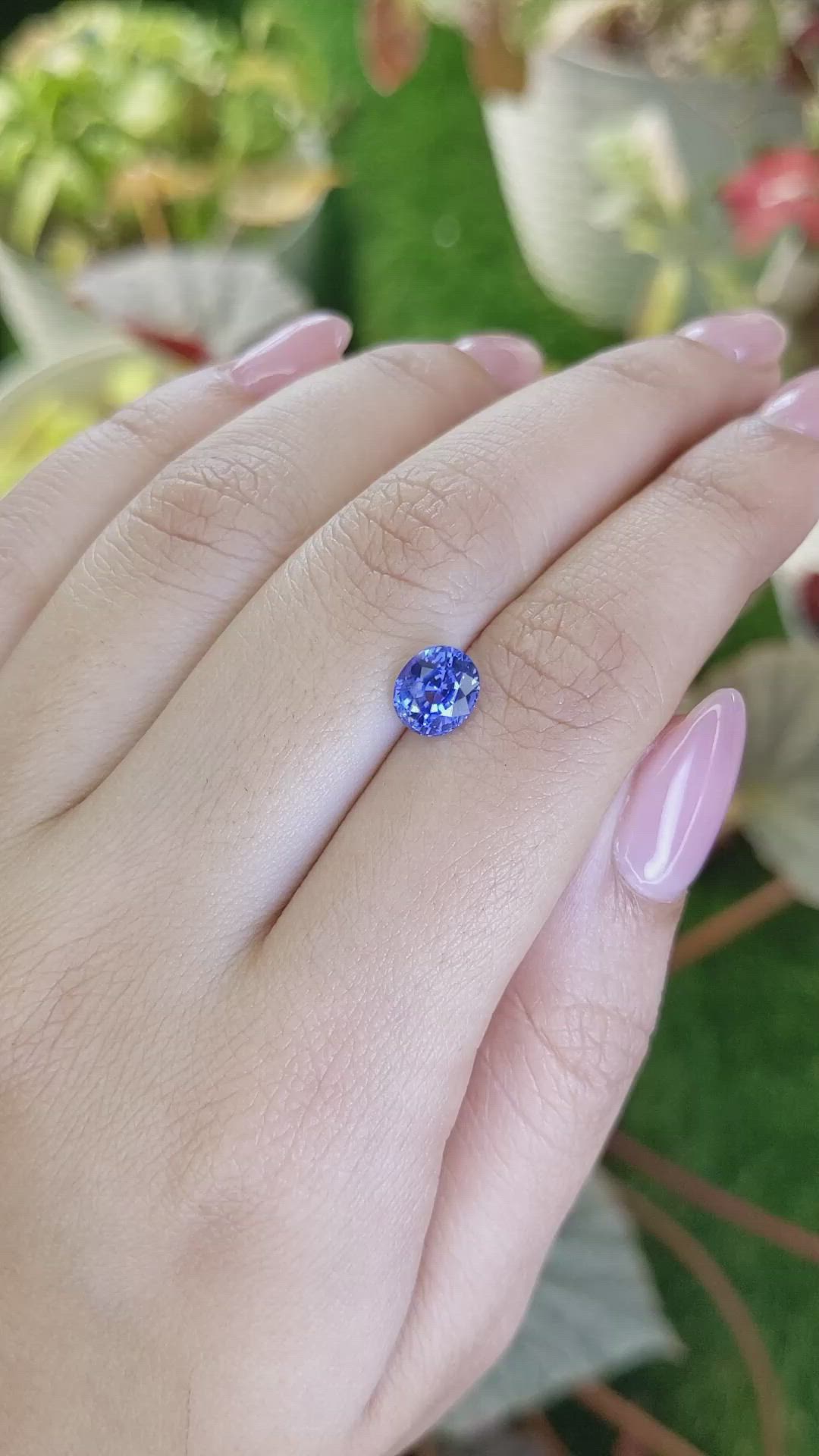 1.78 Ct. Blue Sapphire from Ceylon (Sri Lanka) Size Video