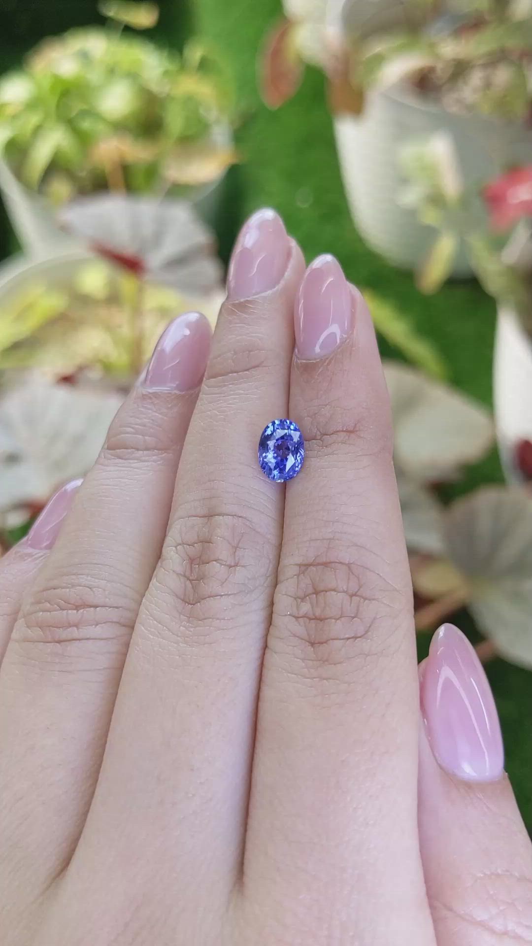 1.77 Ct. Blue Sapphire from Ceylon (Sri Lanka) Size Video