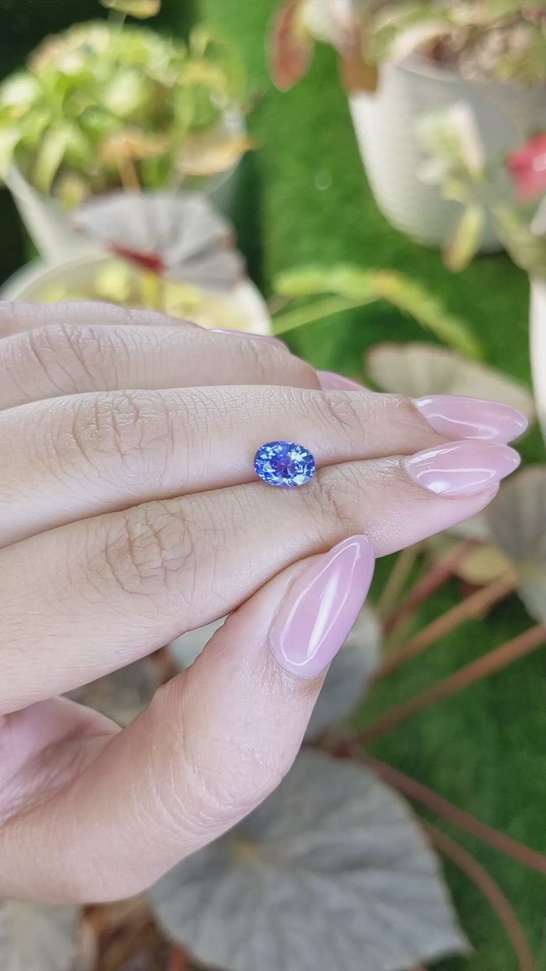 1.77 Ct. Blue Sapphire from Ceylon (Sri Lanka) Size Video