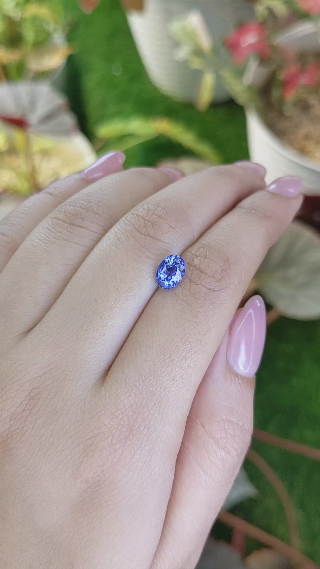1.77 Ct. Blue Sapphire from Ceylon (Sri Lanka) Size Video