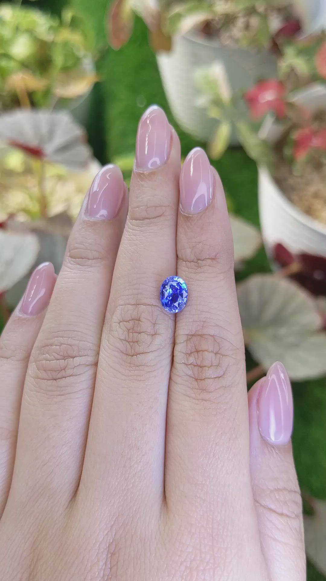 1.80 Ct. Blue Sapphire from Ceylon (Sri Lanka) Size Video