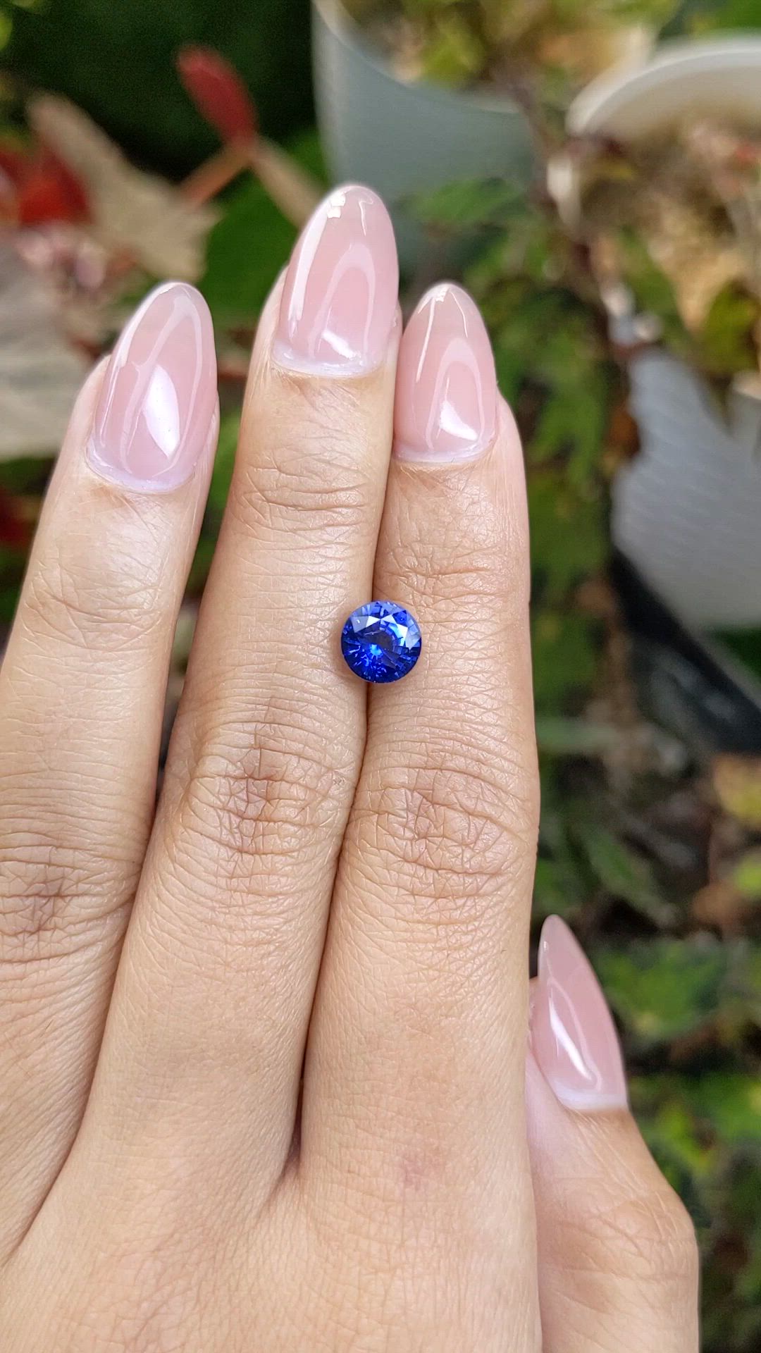 2.06 Ct. Blue Sapphire from Ceylon (Sri Lanka) Size Video