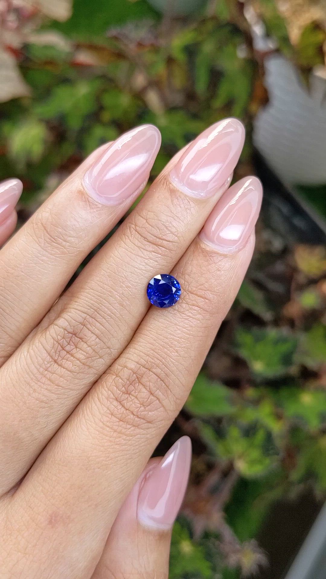 1.38 Ct. Blue Sapphire from Ceylon (Sri Lanka) Size Video