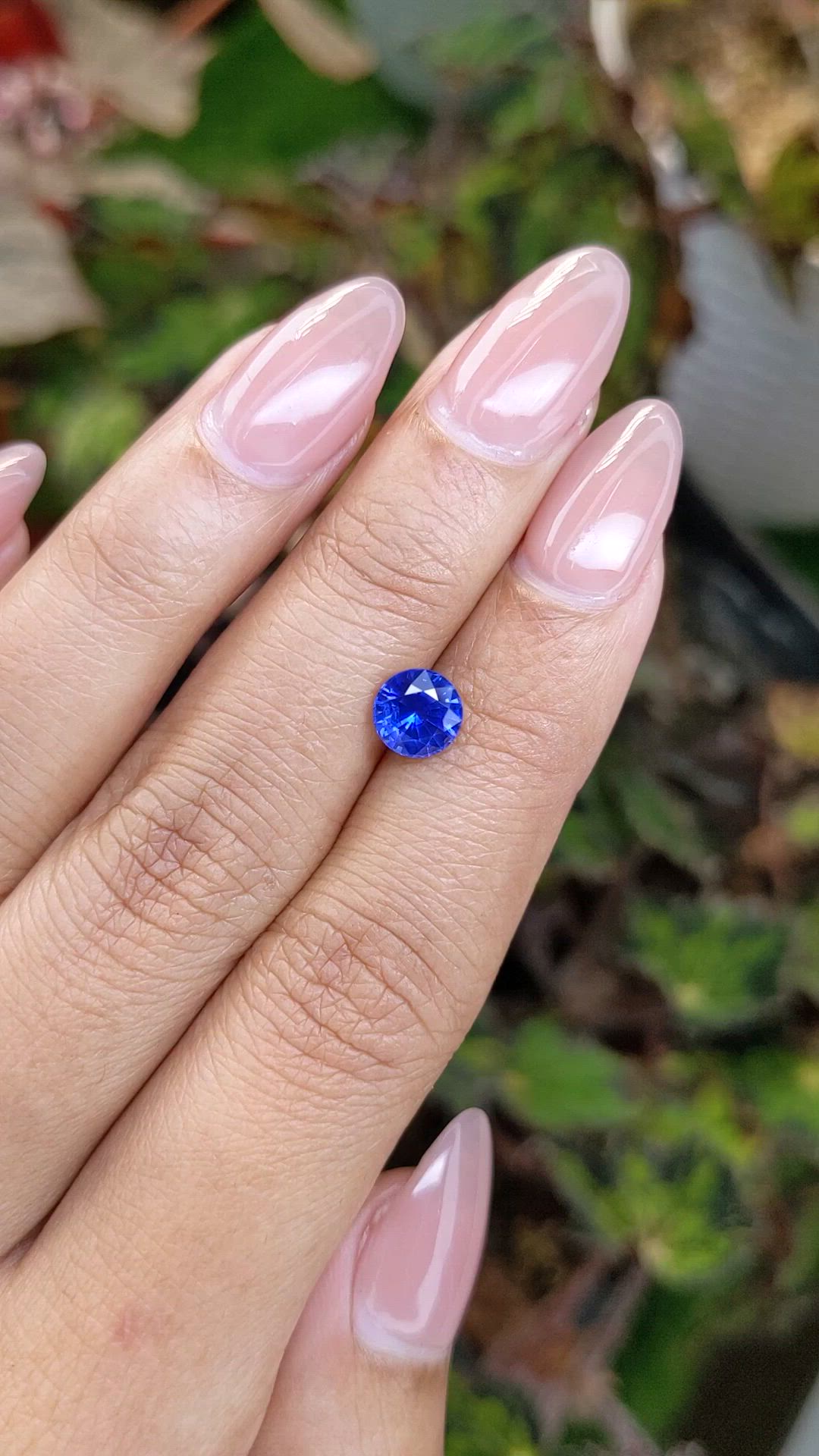 1.33 Ct. Blue Sapphire from Ceylon (Sri Lanka) Size Video