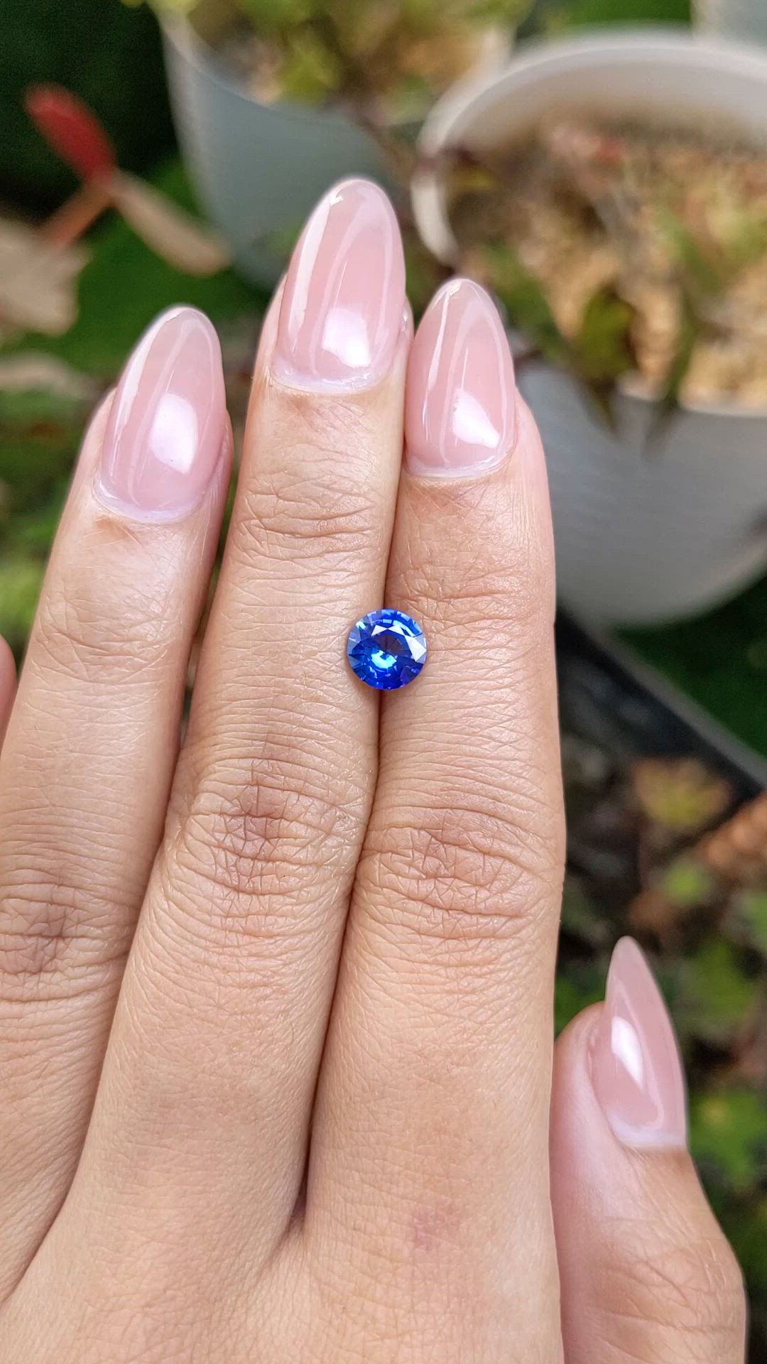 1.05 Ct. Blue Sapphire from Ceylon (Sri Lanka) Size Video