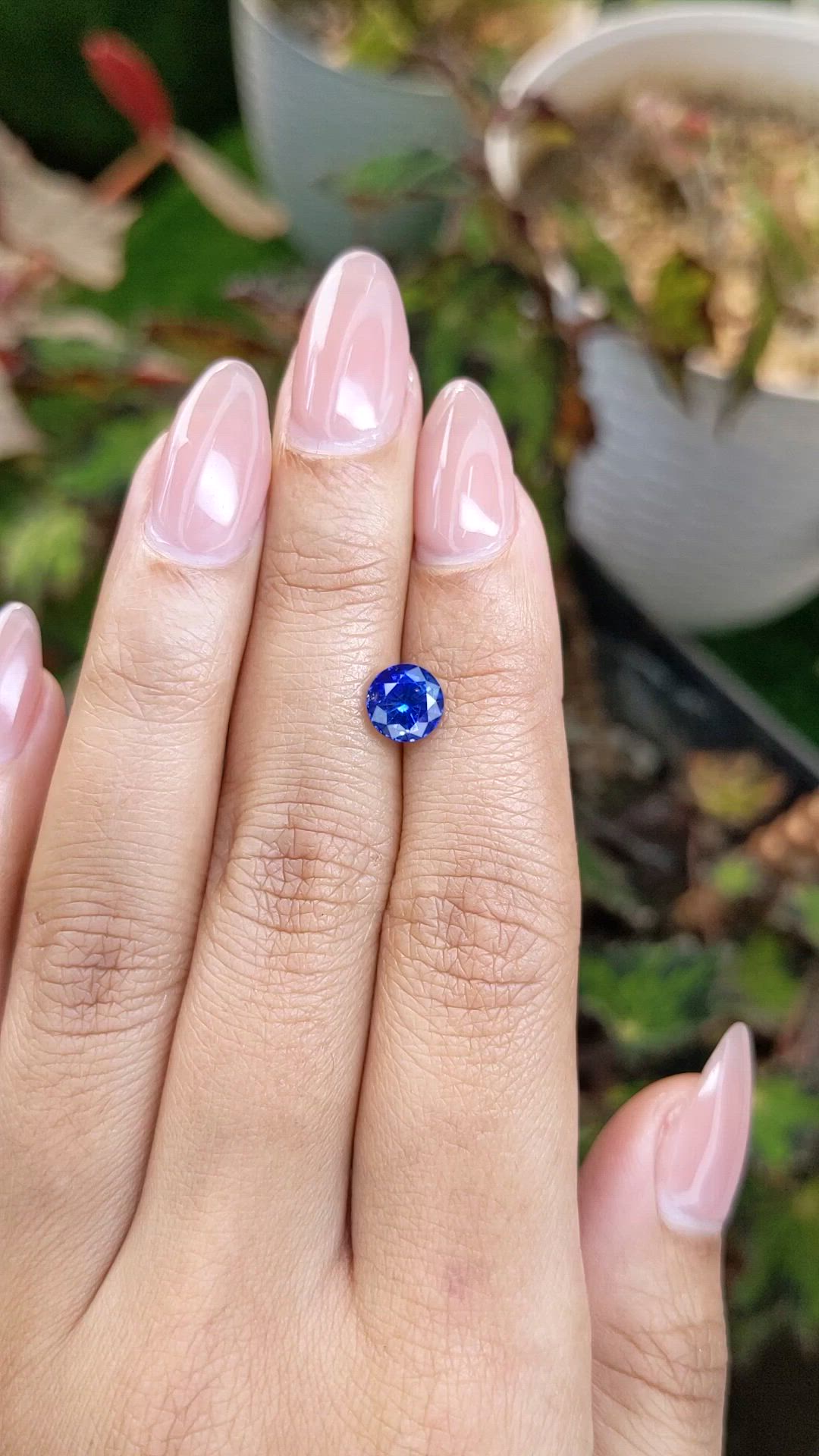 1.53 Ct. Blue Sapphire from Ceylon (Sri Lanka) Size Video