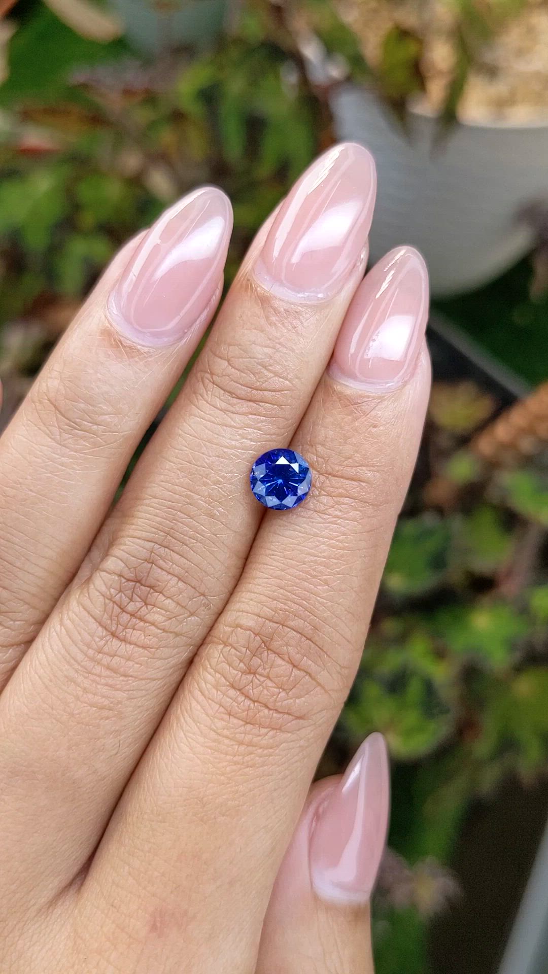 1.53 Ct. Blue Sapphire from Ceylon (Sri Lanka) Size Video