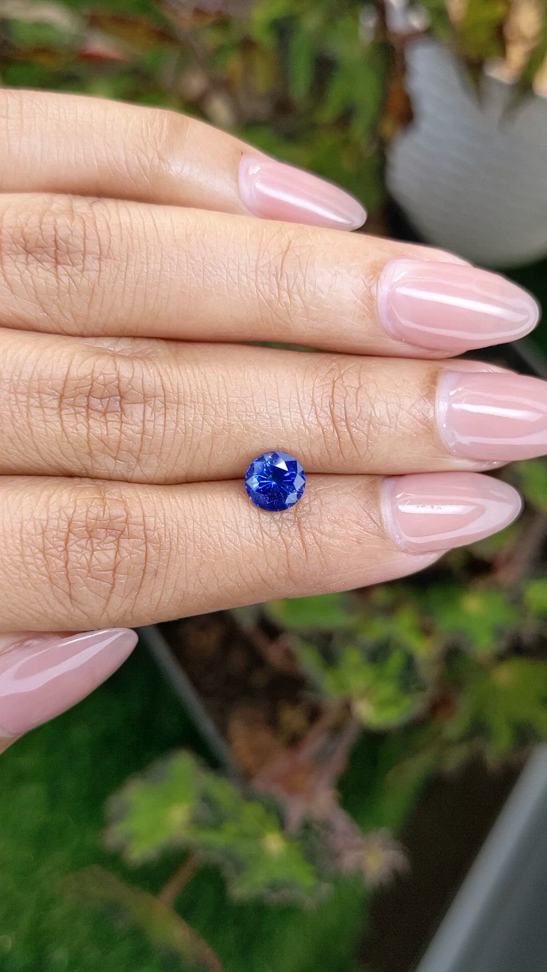 1.53 Ct. Blue Sapphire from Ceylon (Sri Lanka) Size Video