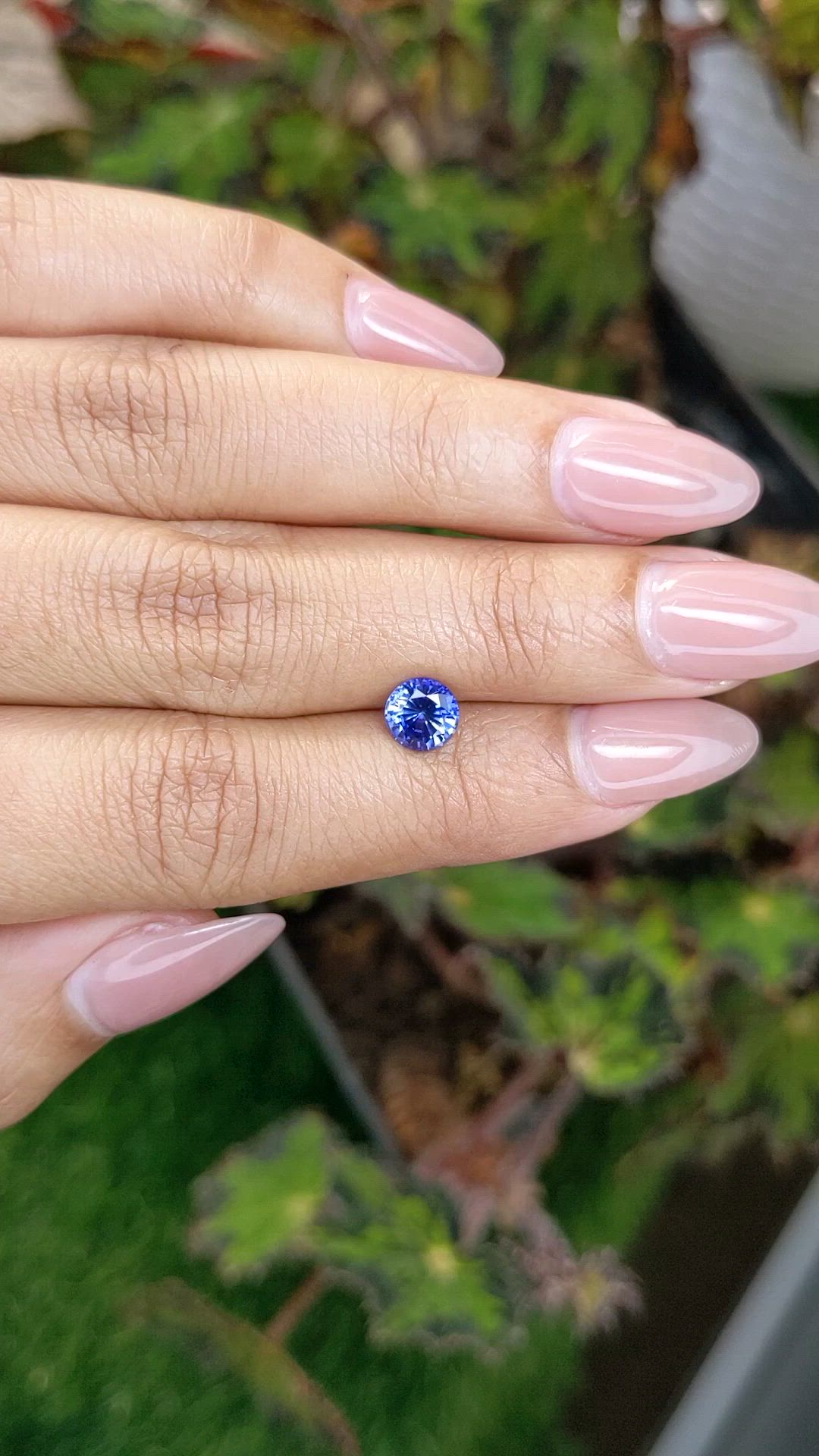 1.21 Ct. Blue Sapphire from Ceylon (Sri Lanka) Size Video