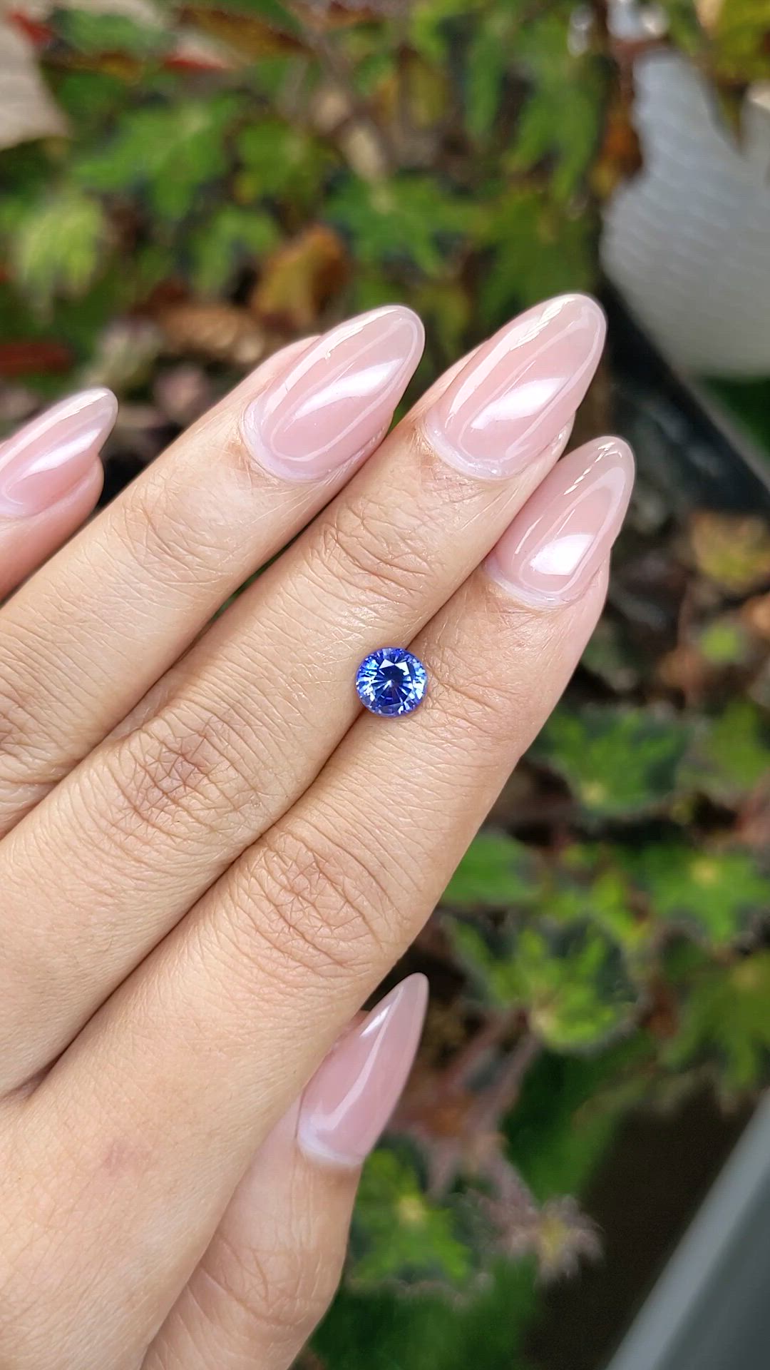 1.21 Ct. Blue Sapphire from Ceylon (Sri Lanka) Size Video