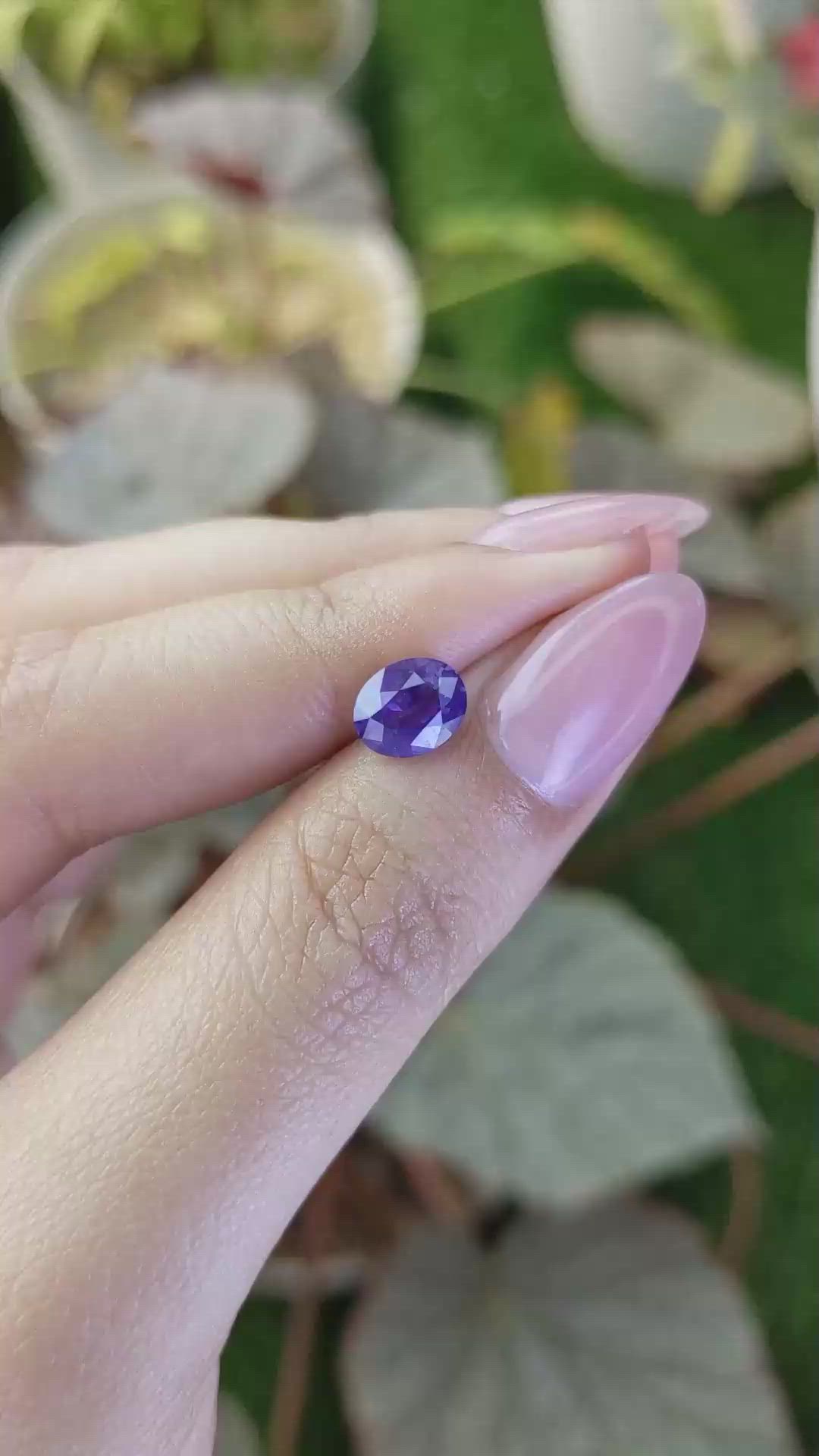 1.53 Ct. Purple Sapphire from Ceylon (Sri Lanka) Size Video