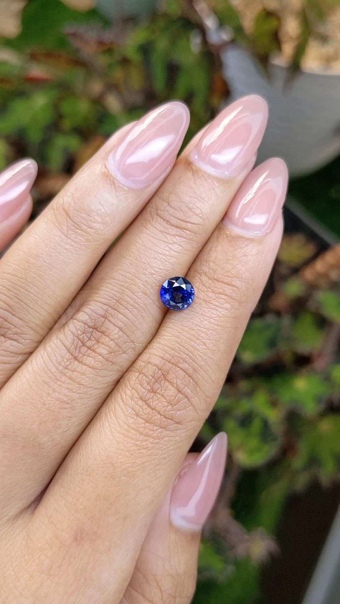 1.26 Ct. Blue Sapphire from Ceylon (Sri Lanka) Size Video