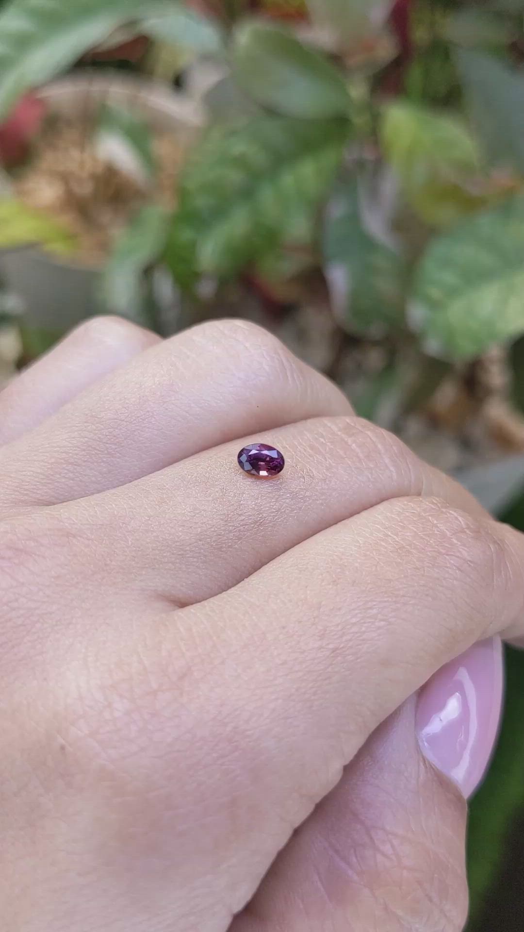 0.38 Ct. Purplish Pink Sapphire from Ceylon (Sri Lanka) Size Video