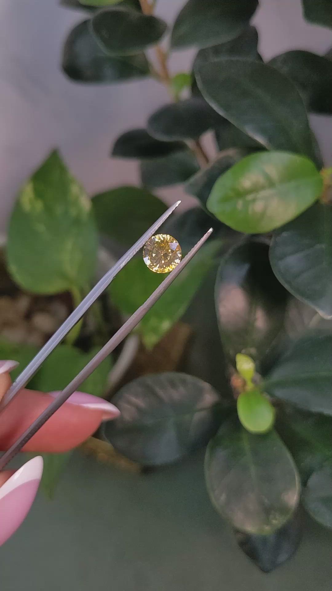 1.99 Ct. Yellow Sapphire from Ceylon (Sri Lanka) Size Video