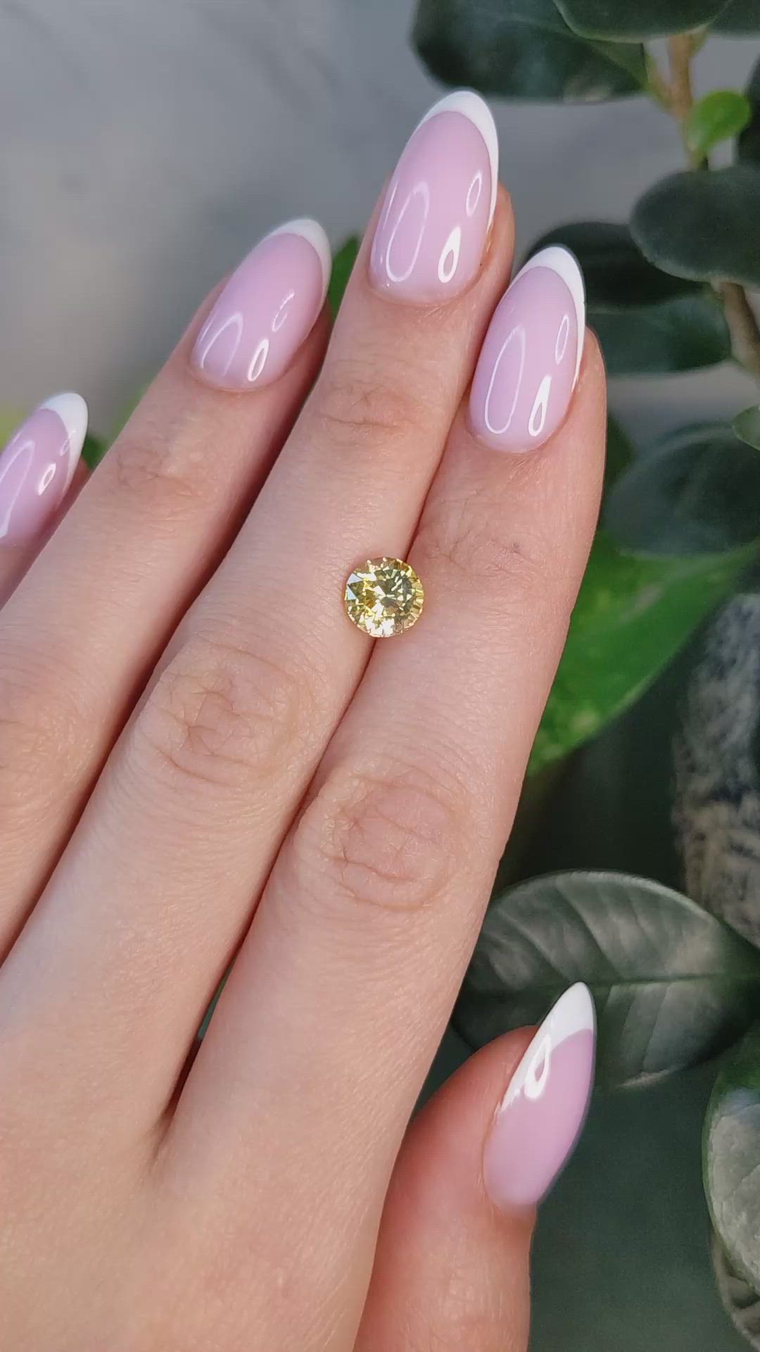 1.99 Ct. Yellow Sapphire from Ceylon (Sri Lanka) Size Video