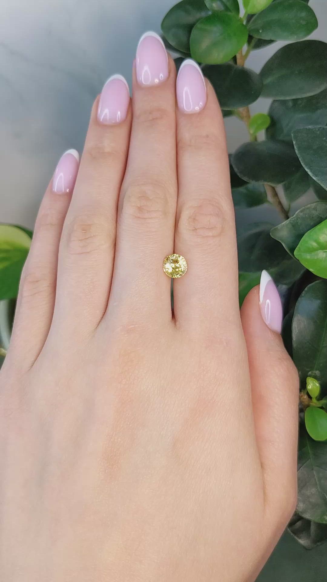 1.99 Ct. Yellow Sapphire from Ceylon (Sri Lanka) Size Video