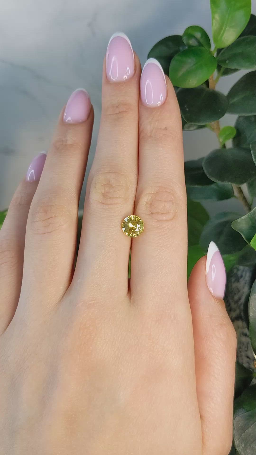 2.26 Ct. Yellow Sapphire from Ceylon (Sri Lanka) Size Video