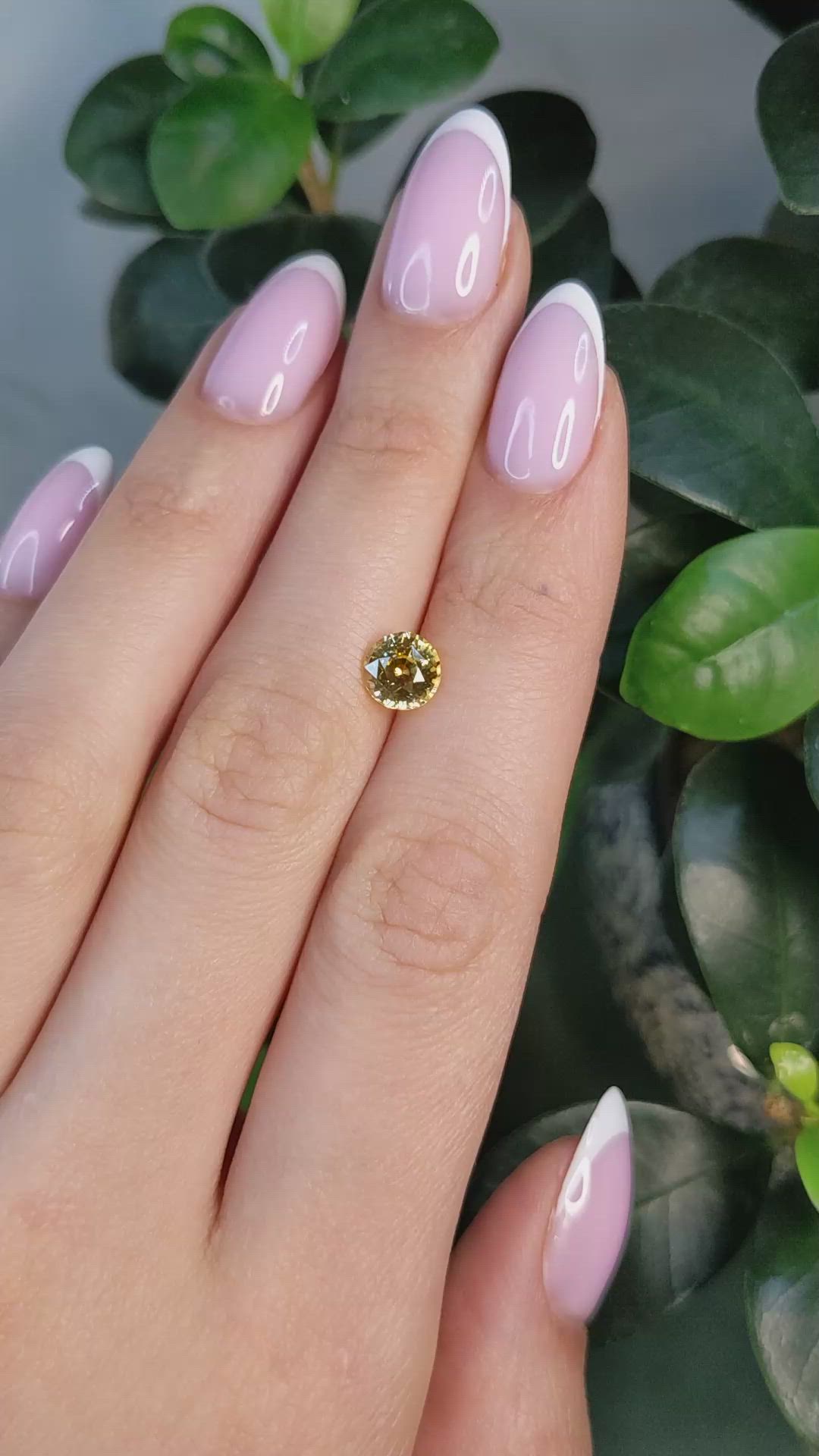 1.76 Ct. Yellow Sapphire from Ceylon (Sri Lanka) Size Video