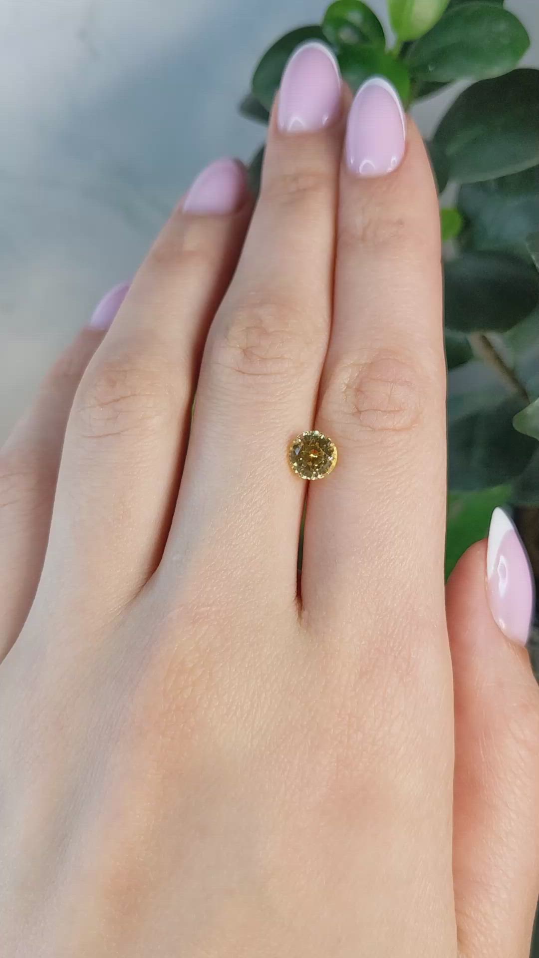 1.76 Ct. Yellow Sapphire from Ceylon (Sri Lanka) Size Video