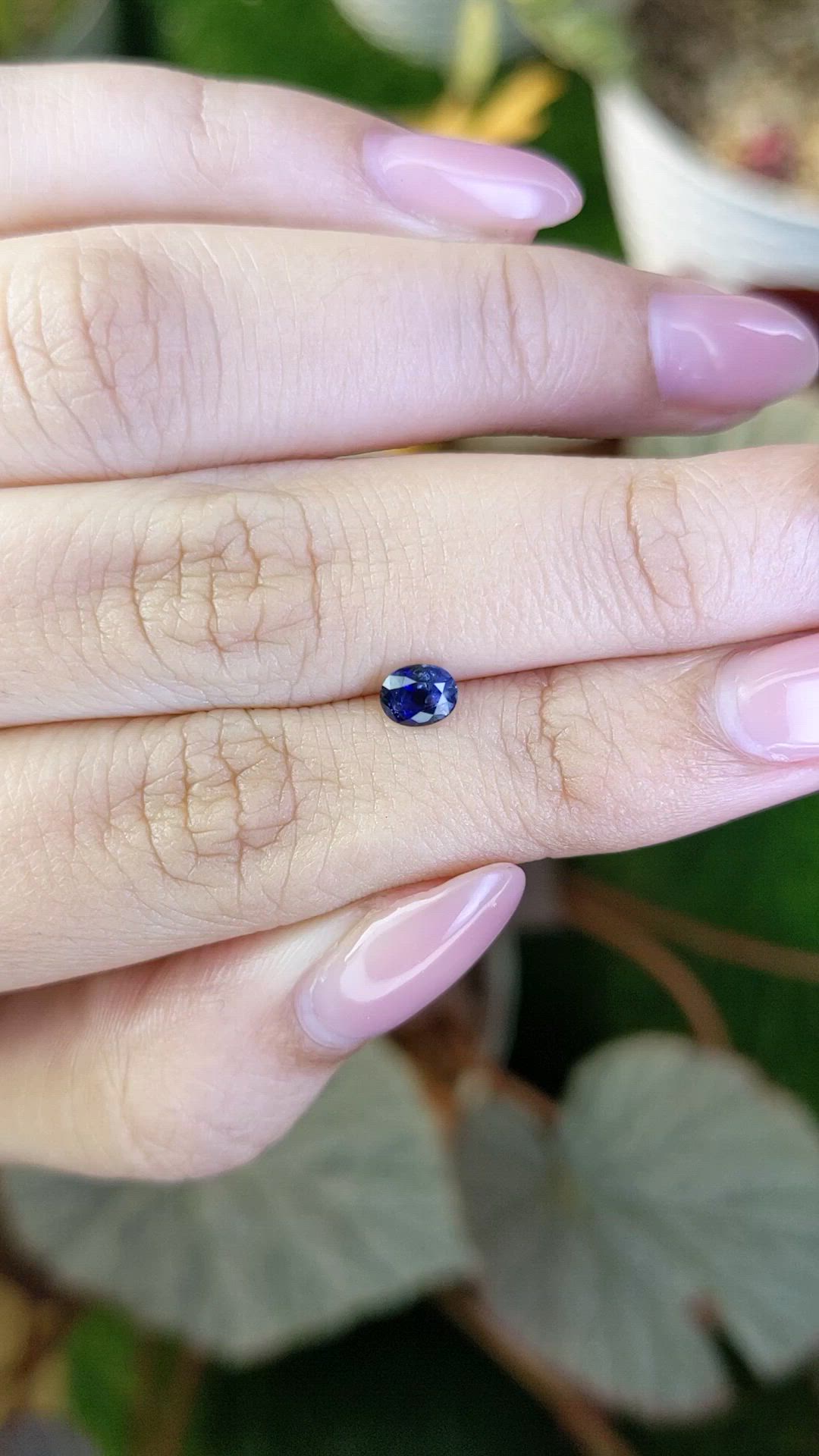 0.51 Ct. Blue Sapphire from Ceylon (Sri Lanka) Size Video