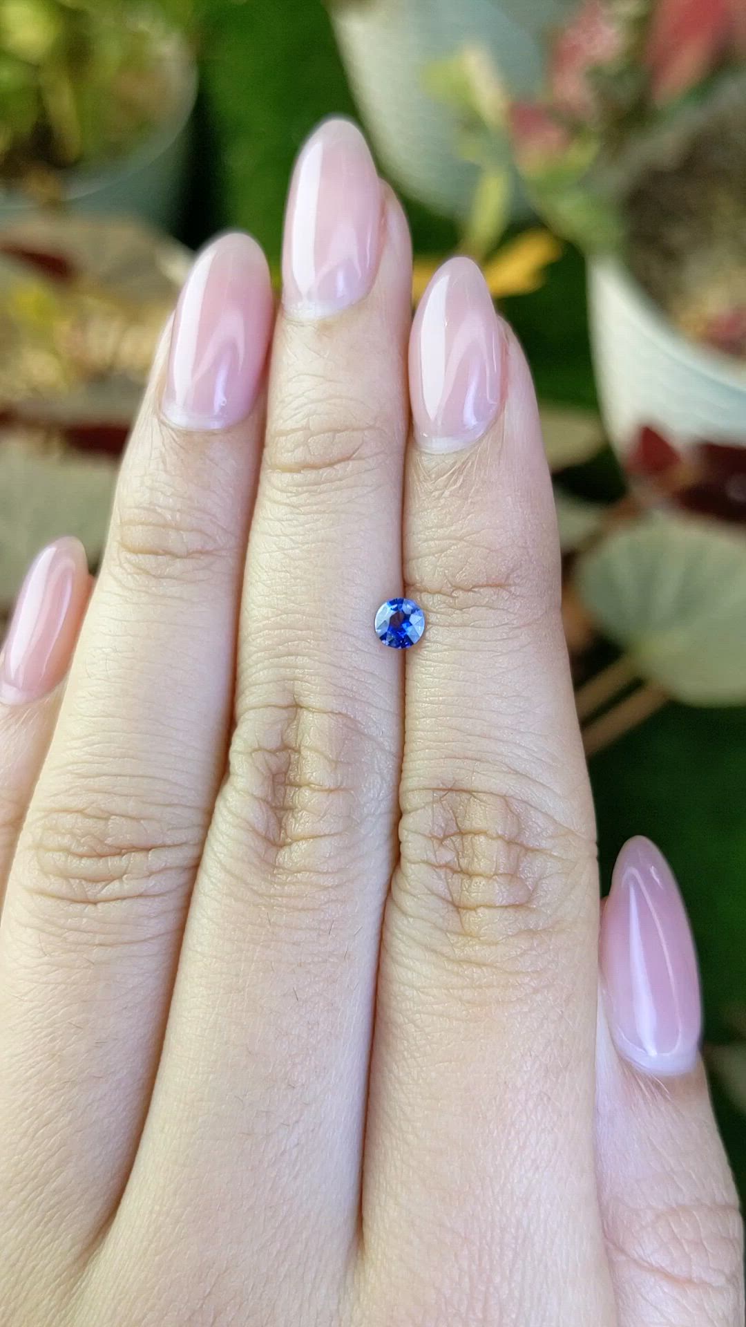 0.26 Ct. Blue Sapphire from Ceylon (Sri Lanka) Size Video