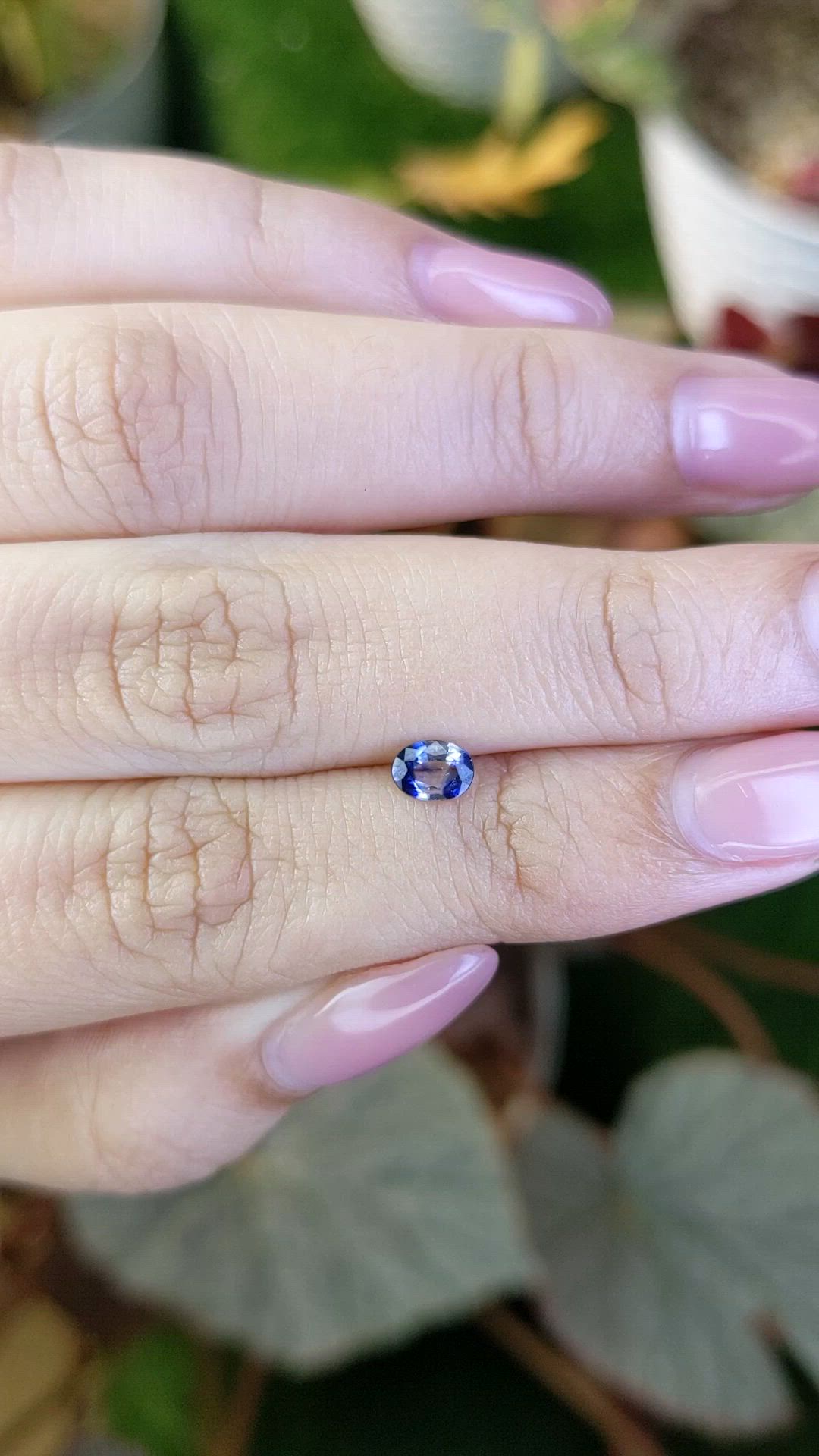 0.38 Ct. Bi Color / Parti Sapphire from Ceylon (Sri Lanka) Size Video