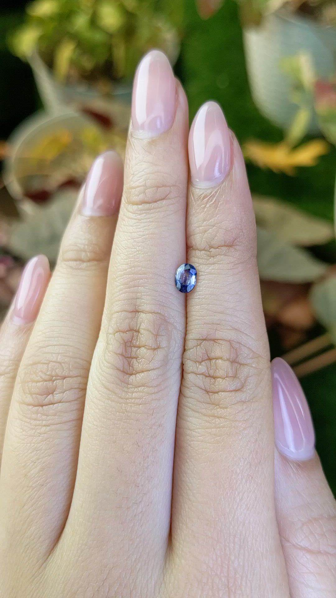 0.38 Ct. Bi Color / Parti Sapphire from Ceylon (Sri Lanka) Size Video