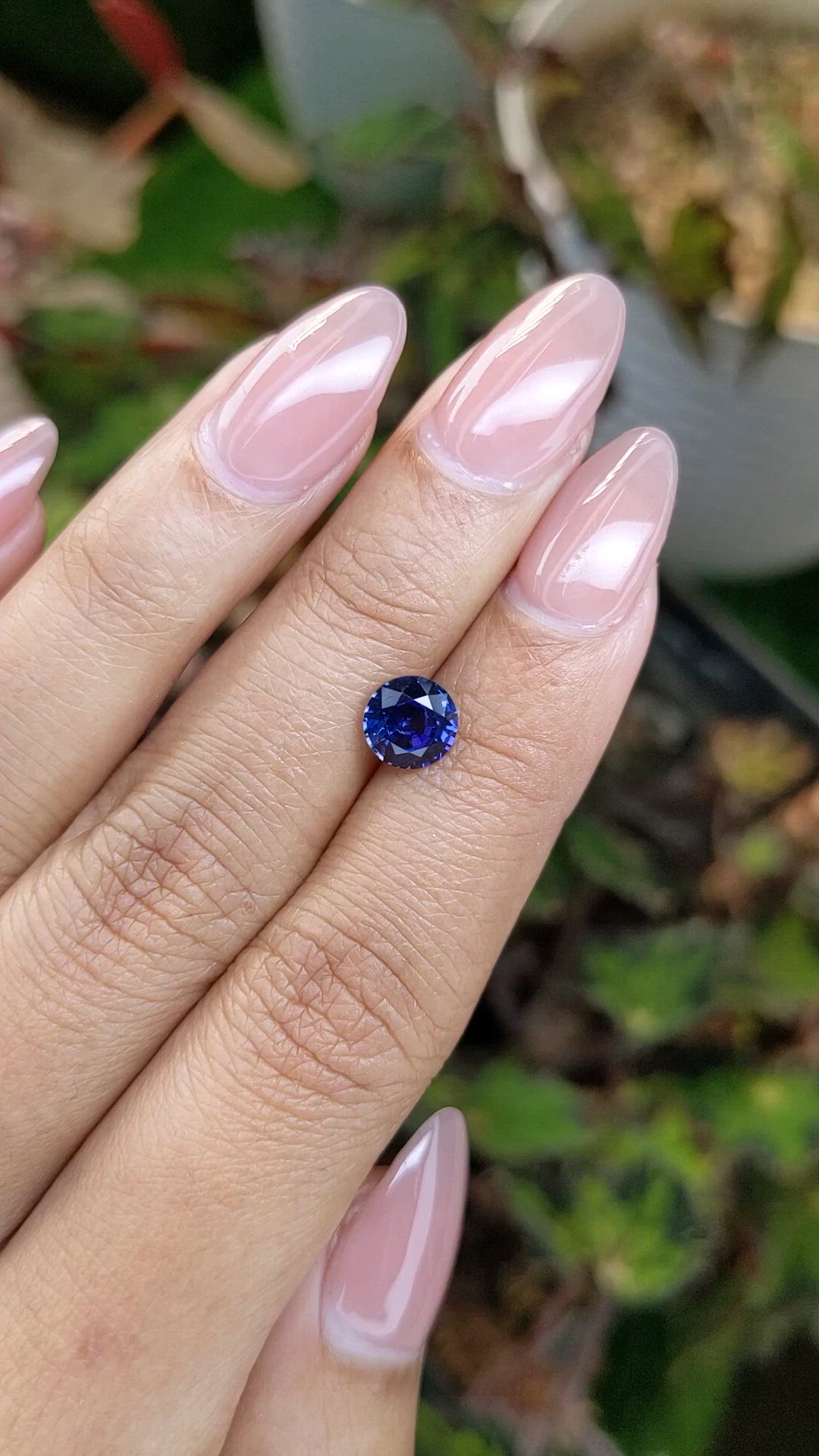 1.46 Ct. Blue Sapphire from Ceylon (Sri Lanka) Size Video