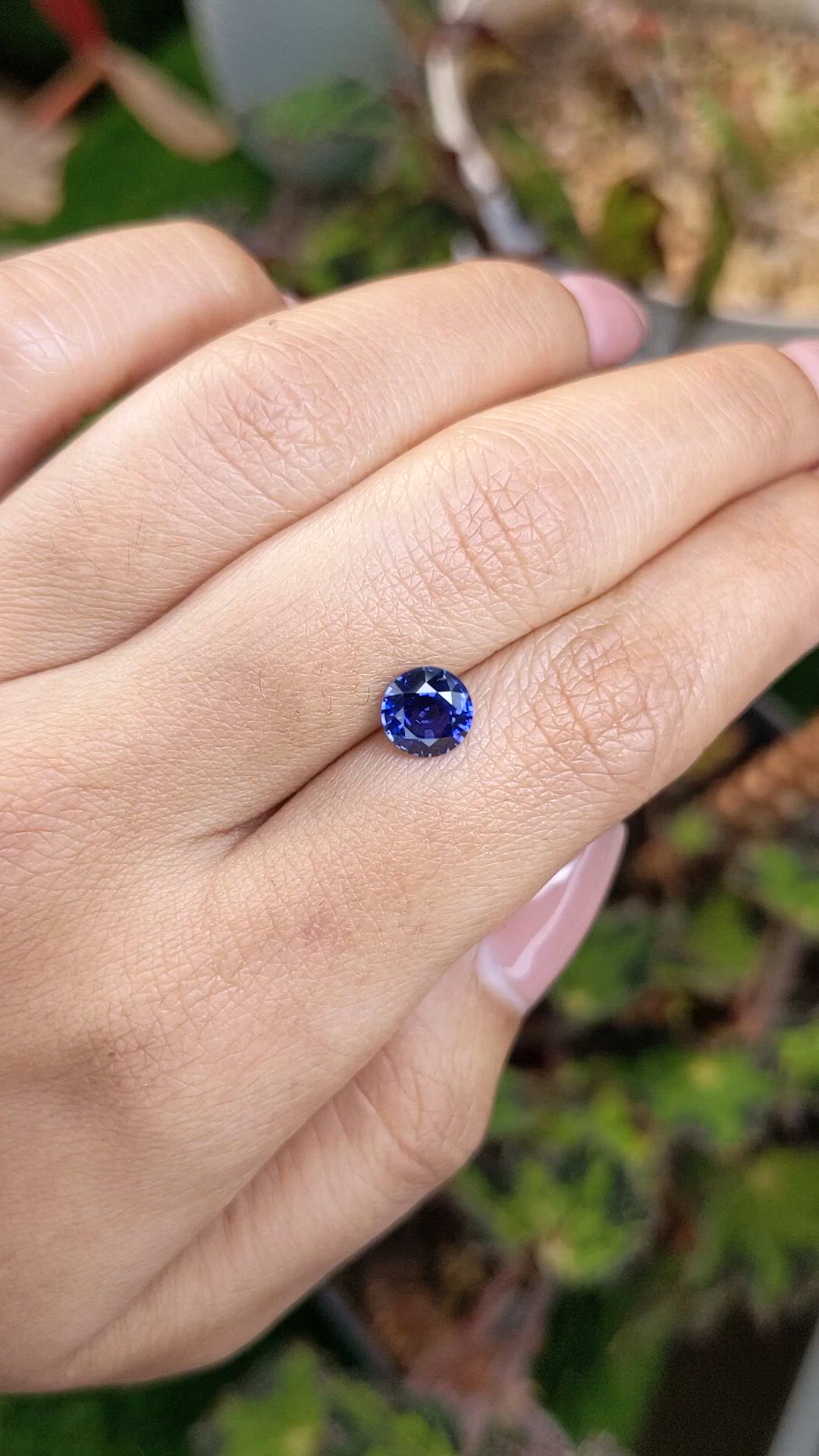 1.46 Ct. Blue Sapphire from Ceylon (Sri Lanka) Size Video
