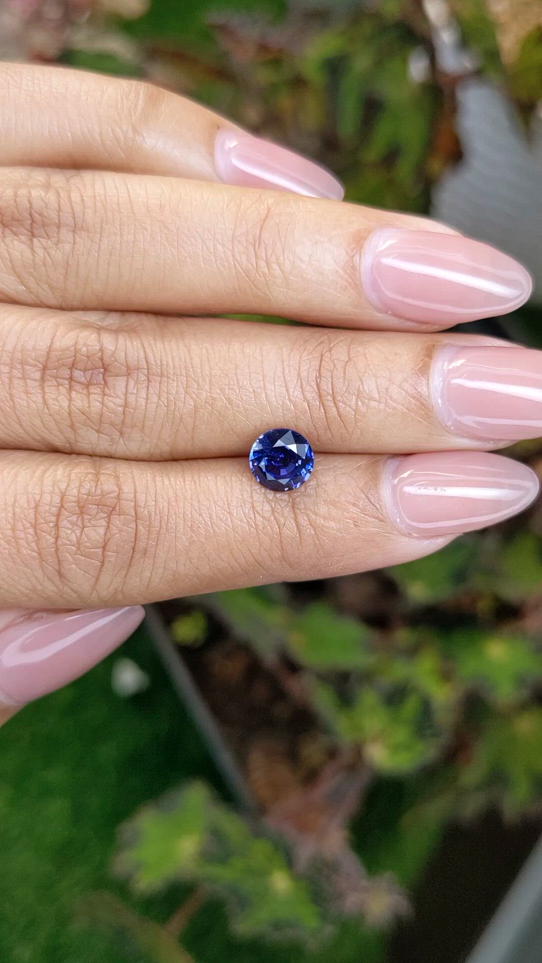 1.46 Ct. Blue Sapphire from Ceylon (Sri Lanka) Size Video