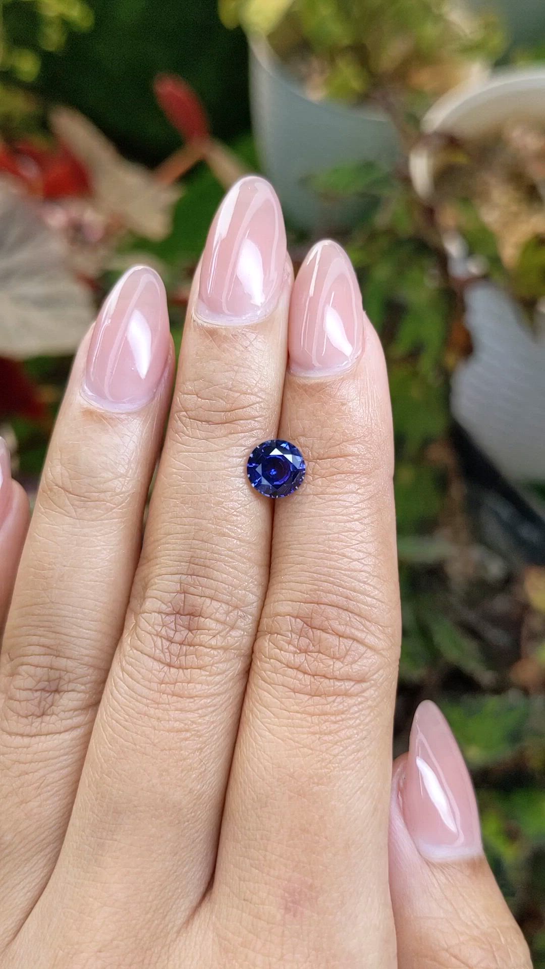 1.46 Ct. Blue Sapphire from Ceylon (Sri Lanka) Size Video