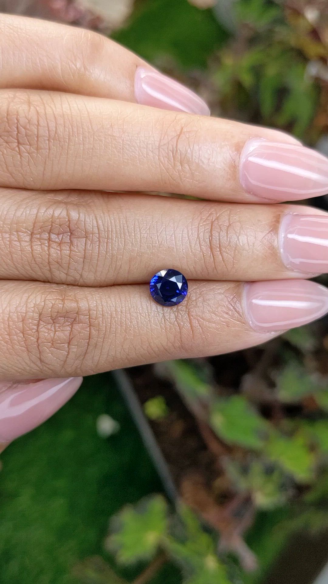 1.48 Ct. Blue Sapphire from Ceylon (Sri Lanka) Size Video