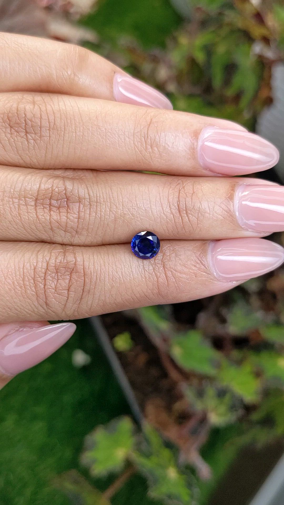 1.05 Ct. Blue Sapphire from Ceylon (Sri Lanka) Size Video