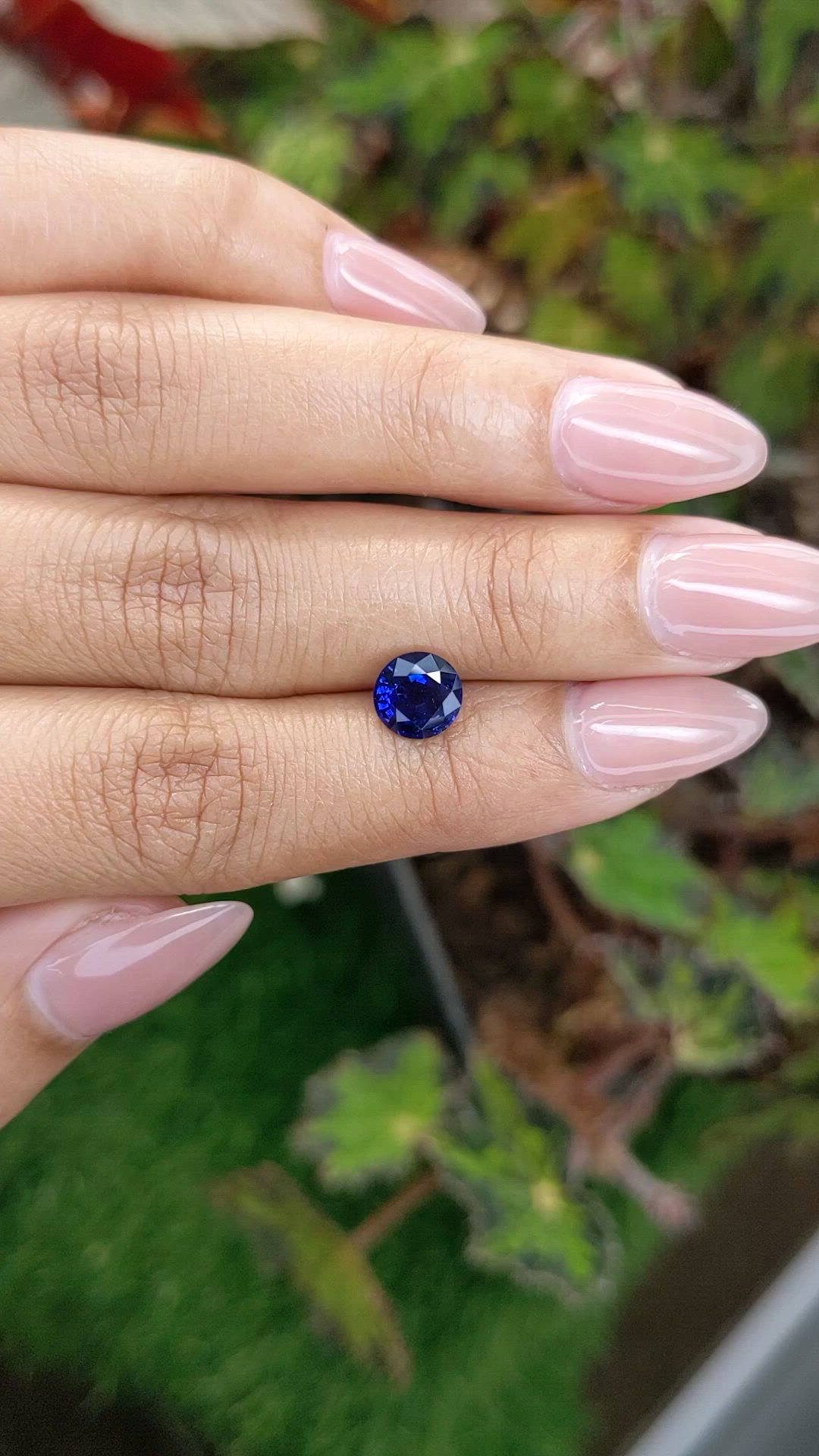 1.47 Ct. Blue Sapphire from Ceylon (Sri Lanka) Size Video