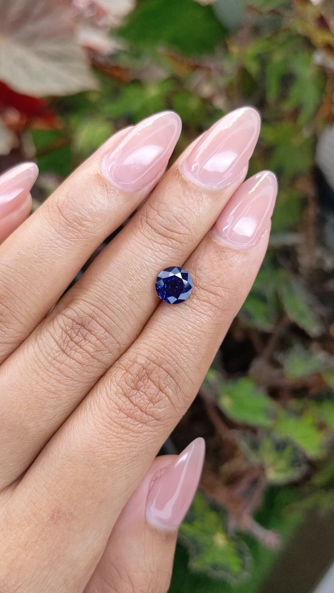1.47 Ct. Blue Sapphire from Ceylon (Sri Lanka) Size Video