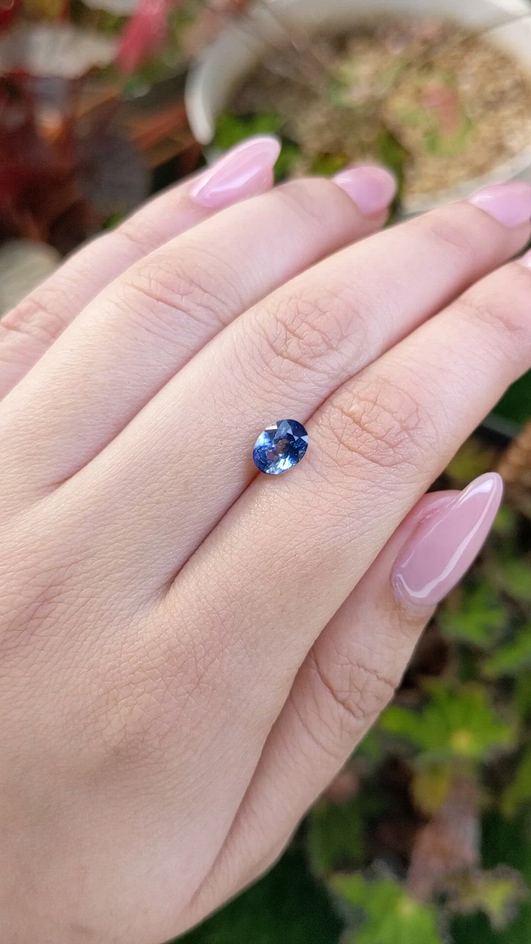 1.50 Ct. Bi Color / Parti Sapphire from Ceylon (Sri Lanka) Size Video