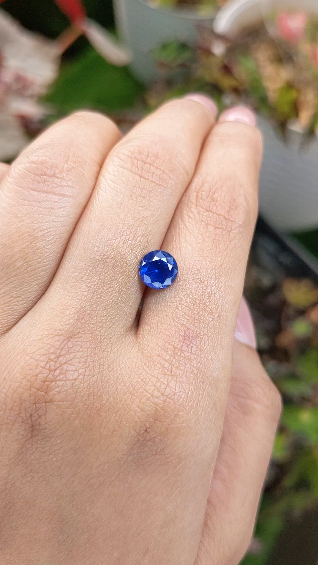 1.81 Ct. Blue Sapphire from Ceylon (Sri Lanka) Size Video