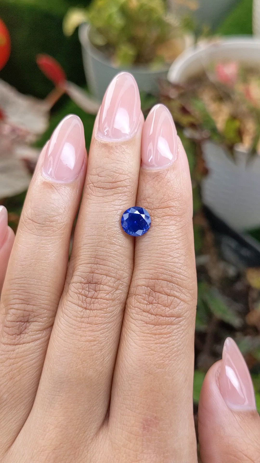 1.81 Ct. Blue Sapphire from Ceylon (Sri Lanka) Size Video