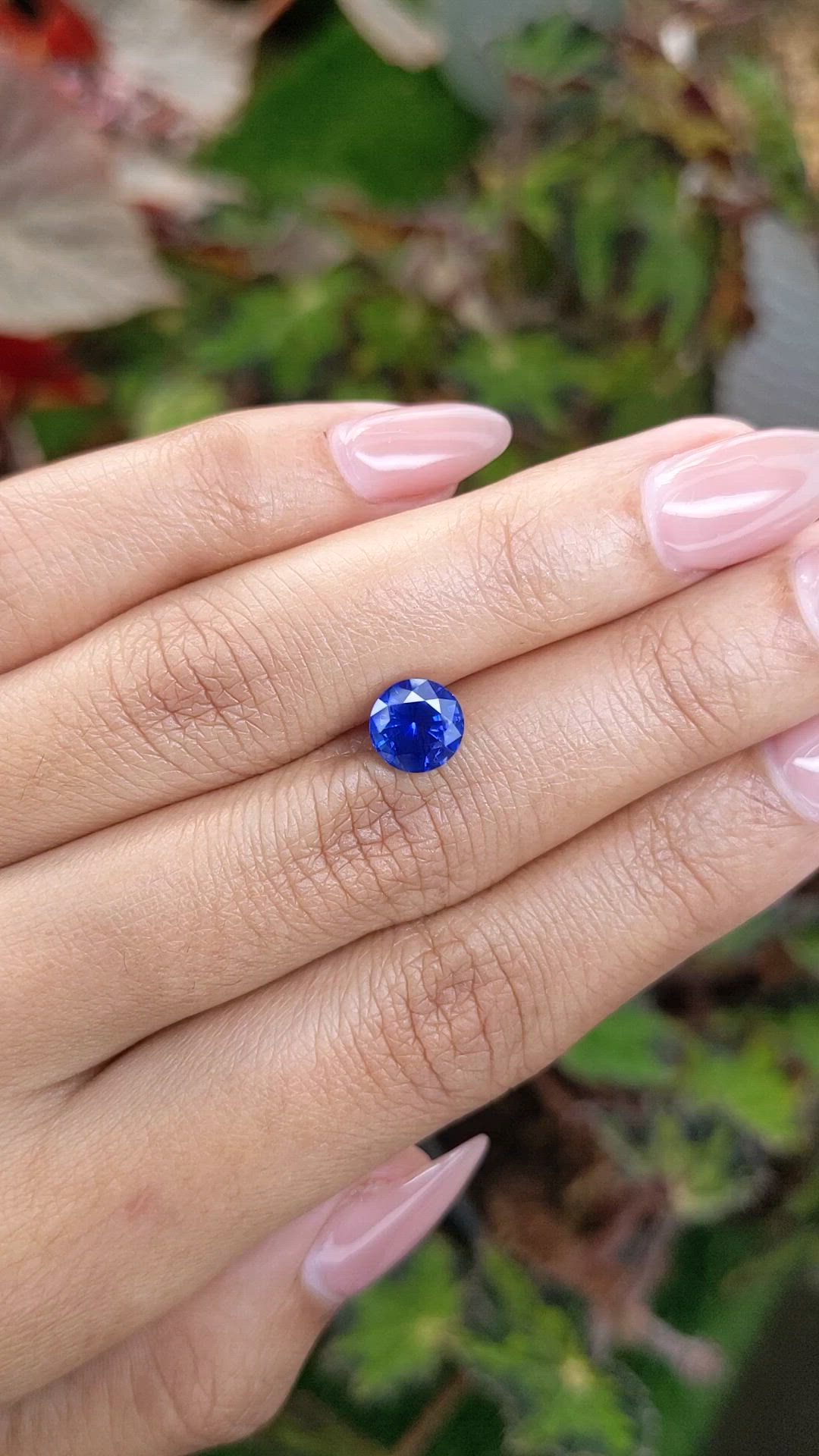 1.81 Ct. Blue Sapphire from Ceylon (Sri Lanka) Size Video