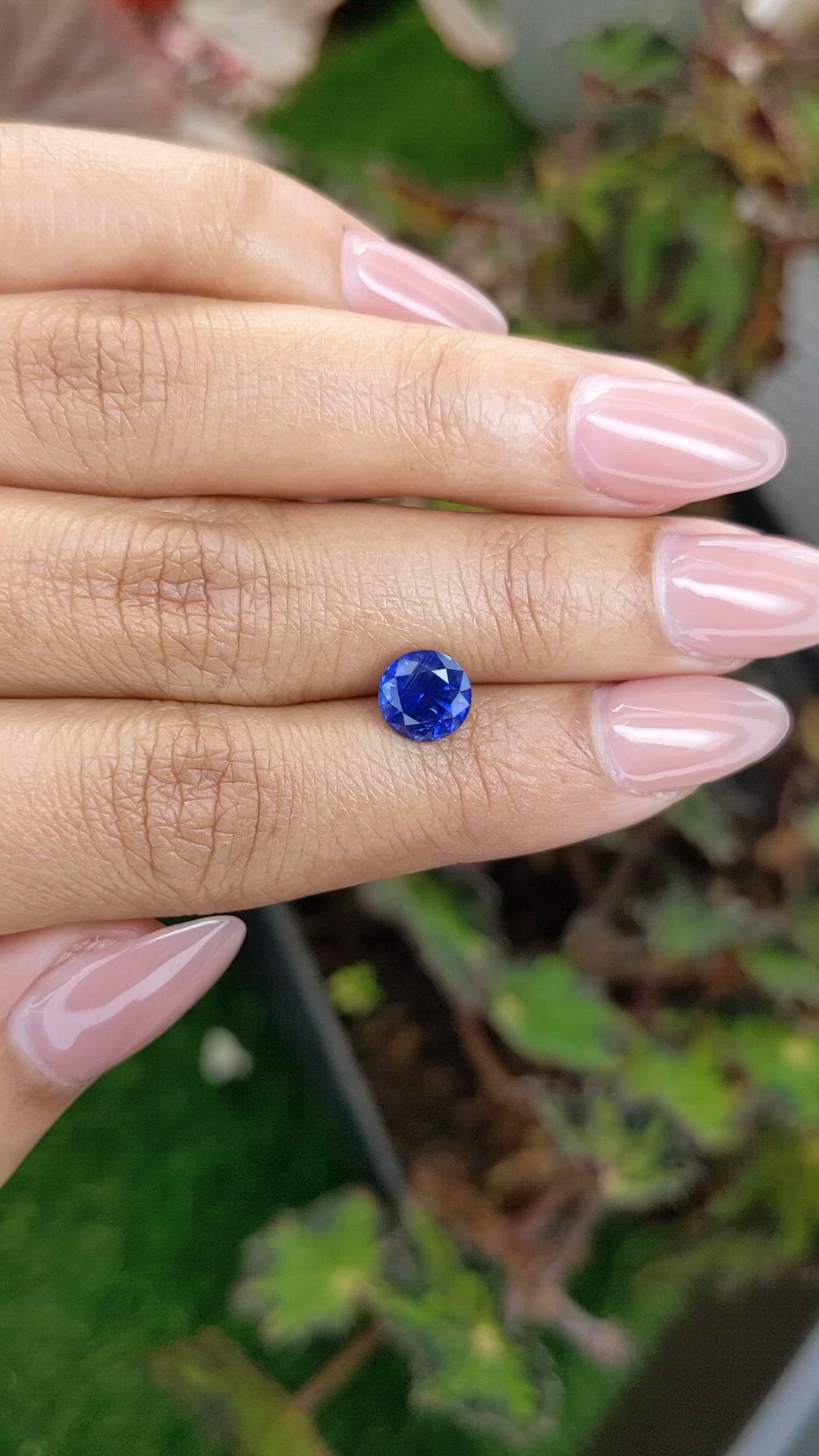 1.81 Ct. Blue Sapphire from Ceylon (Sri Lanka) Size Video