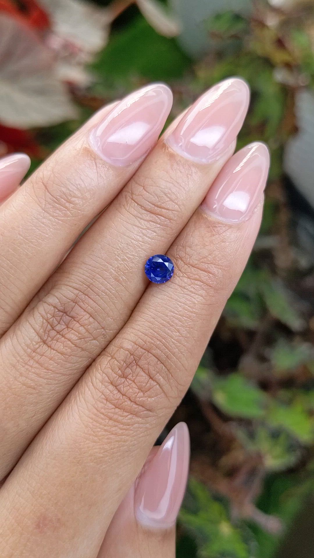 0.68 Ct. Blue Sapphire from Ceylon (Sri Lanka) Size Video