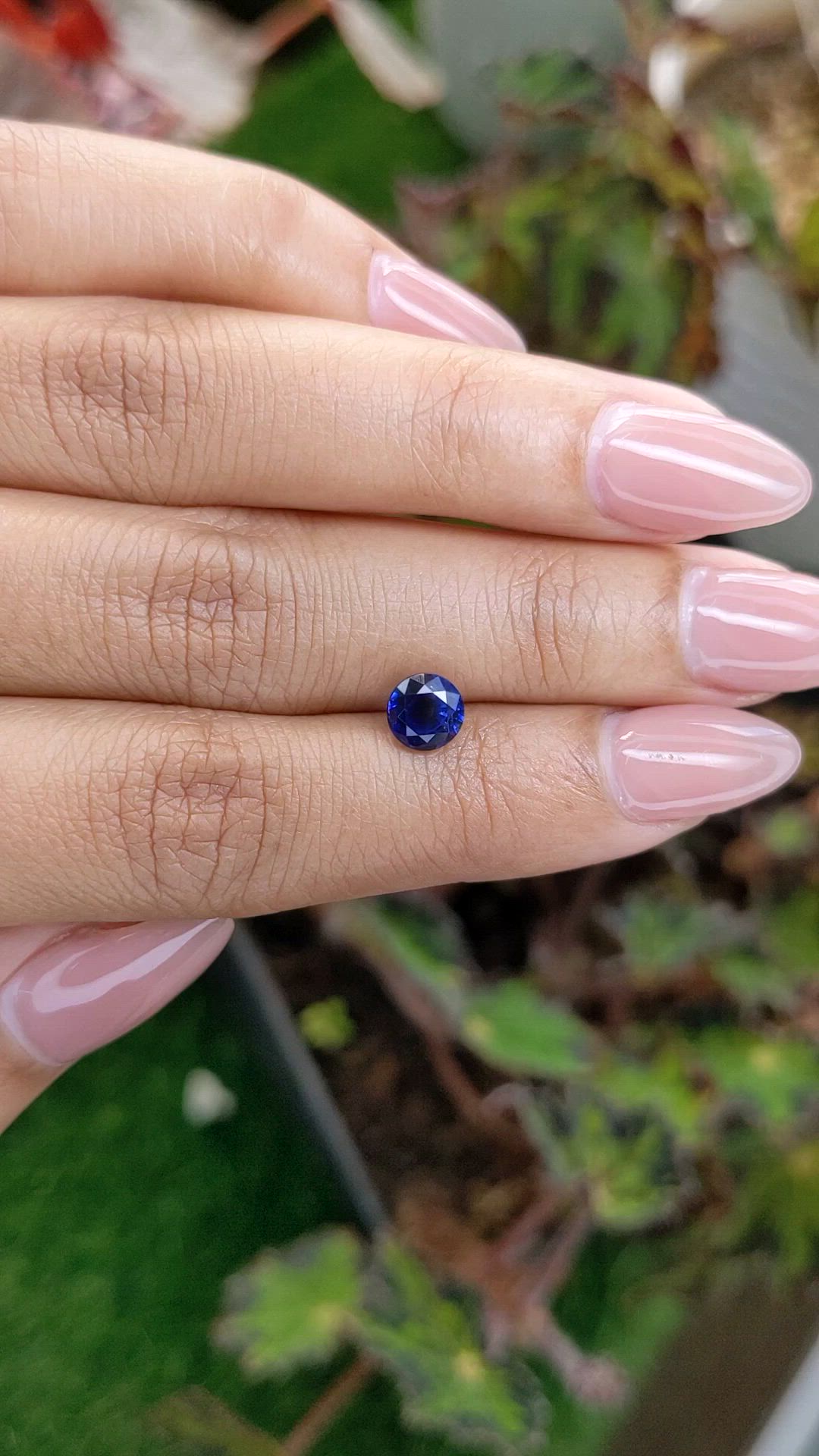 1.41 Ct. Blue Sapphire from Ceylon (Sri Lanka) Size Video