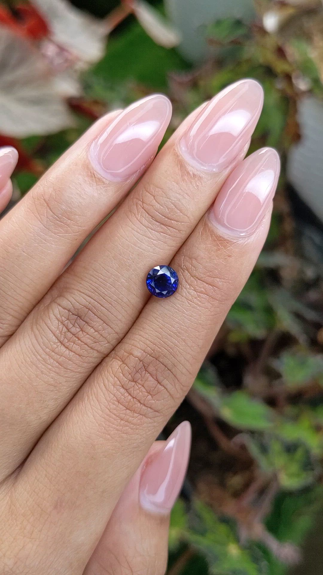 1.41 Ct. Blue Sapphire from Ceylon (Sri Lanka) Size Video