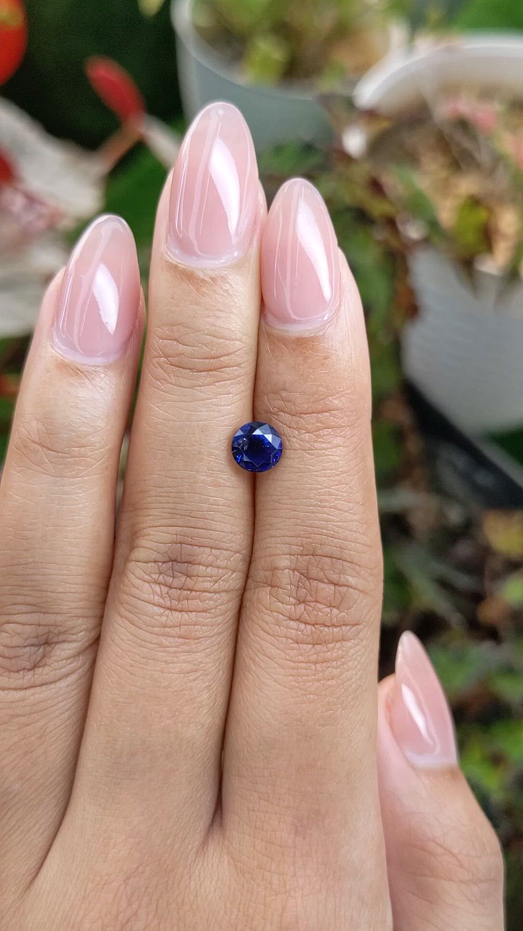 1.41 Ct. Blue Sapphire from Ceylon (Sri Lanka) Size Video
