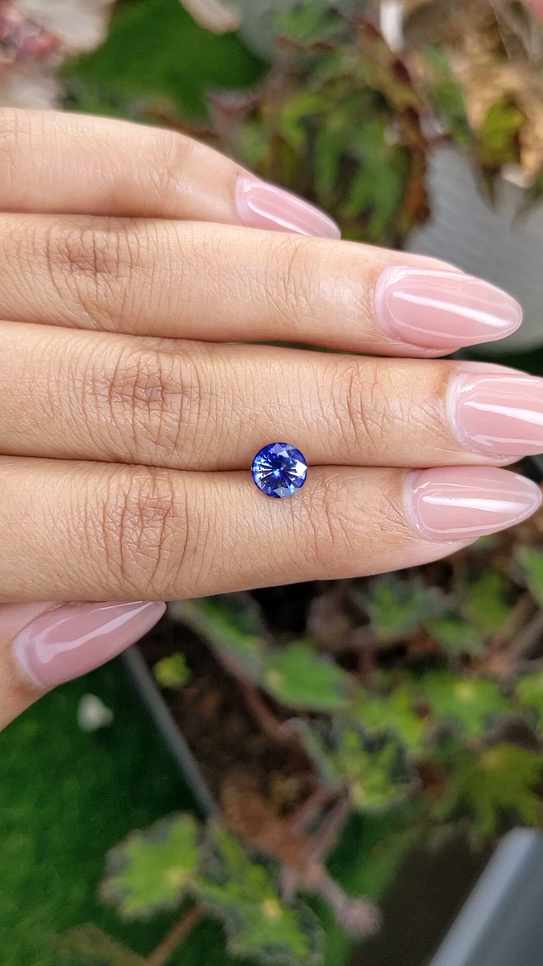 1.56 Ct. Blue Sapphire from Ceylon (Sri Lanka) Size Video