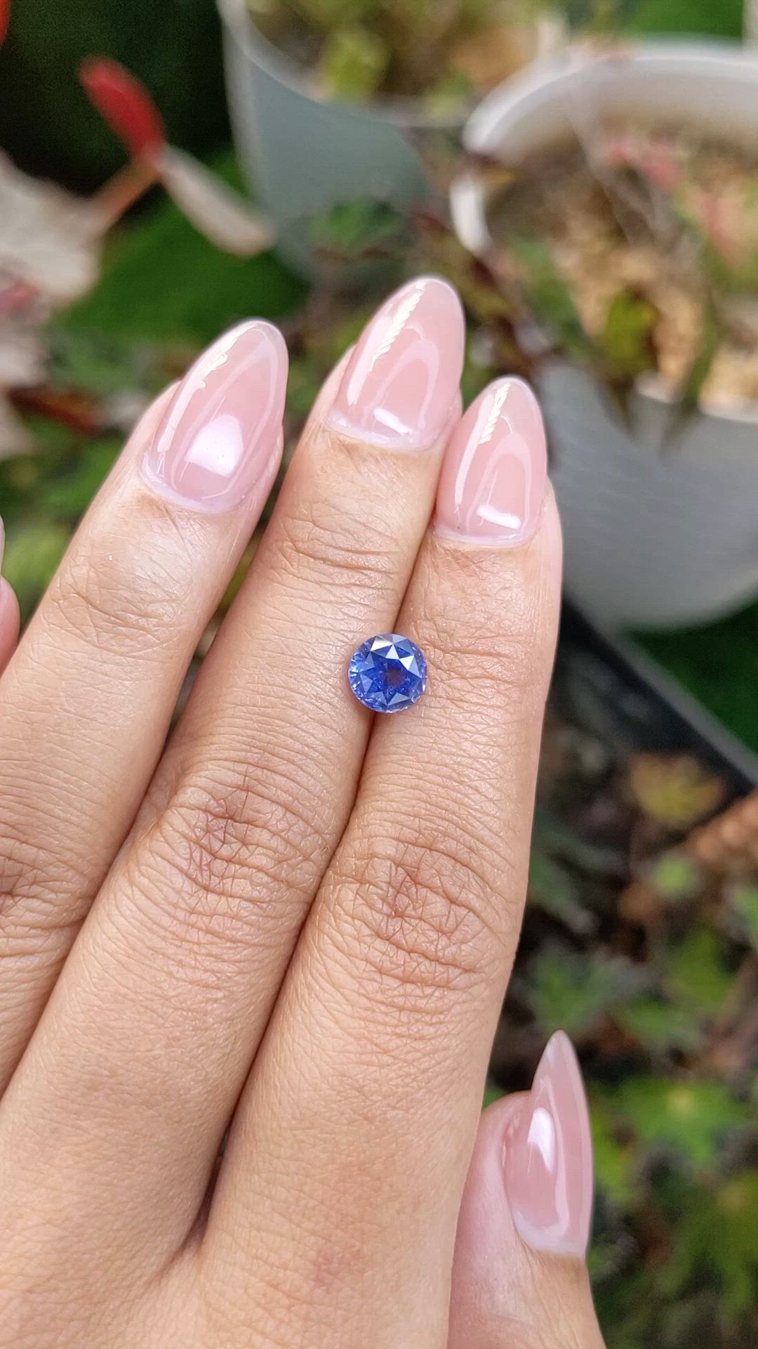 1.65 Ct. Blue Sapphire from Ceylon (Sri Lanka) Size Video