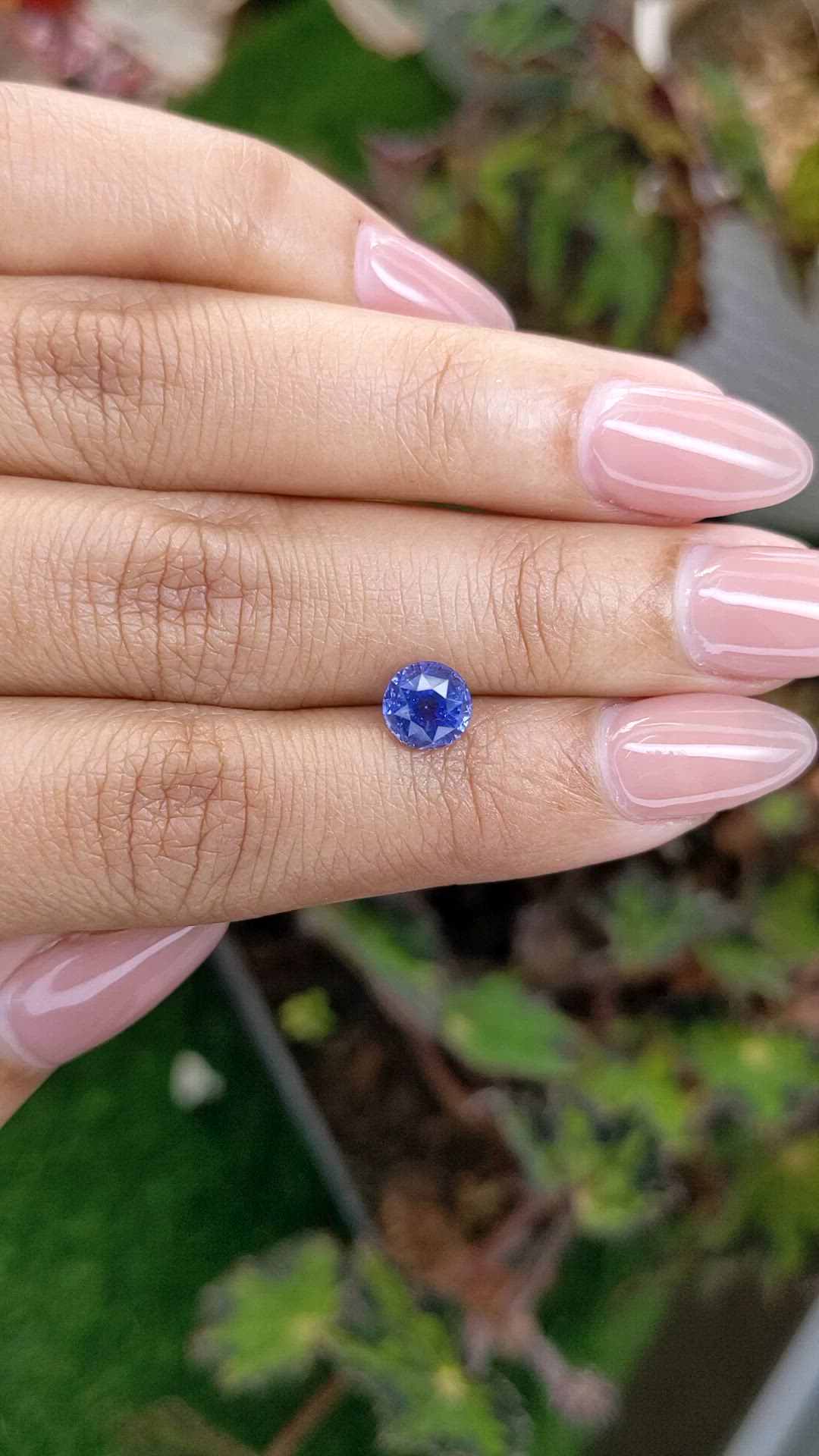 1.65 Ct. Blue Sapphire from Ceylon (Sri Lanka) Size Video