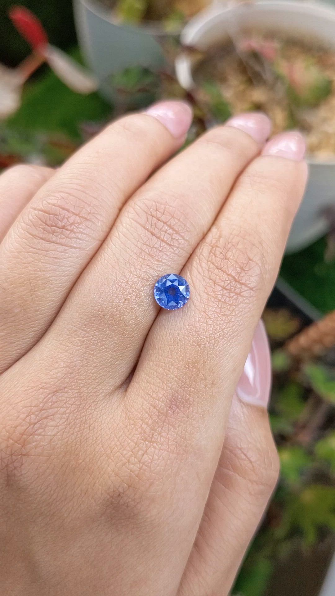 1.65 Ct. Blue Sapphire from Ceylon (Sri Lanka) Size Video