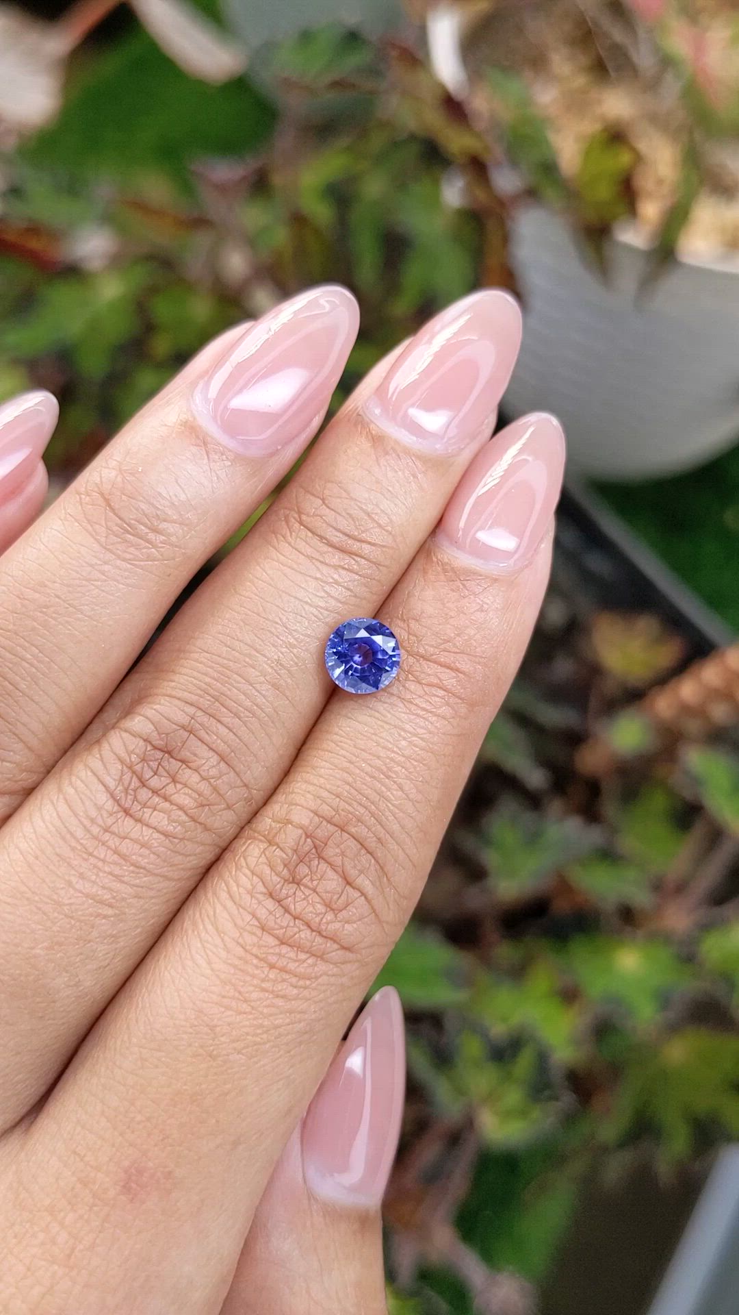 1.40 Ct. Blue Sapphire from Ceylon (Sri Lanka) Size Video