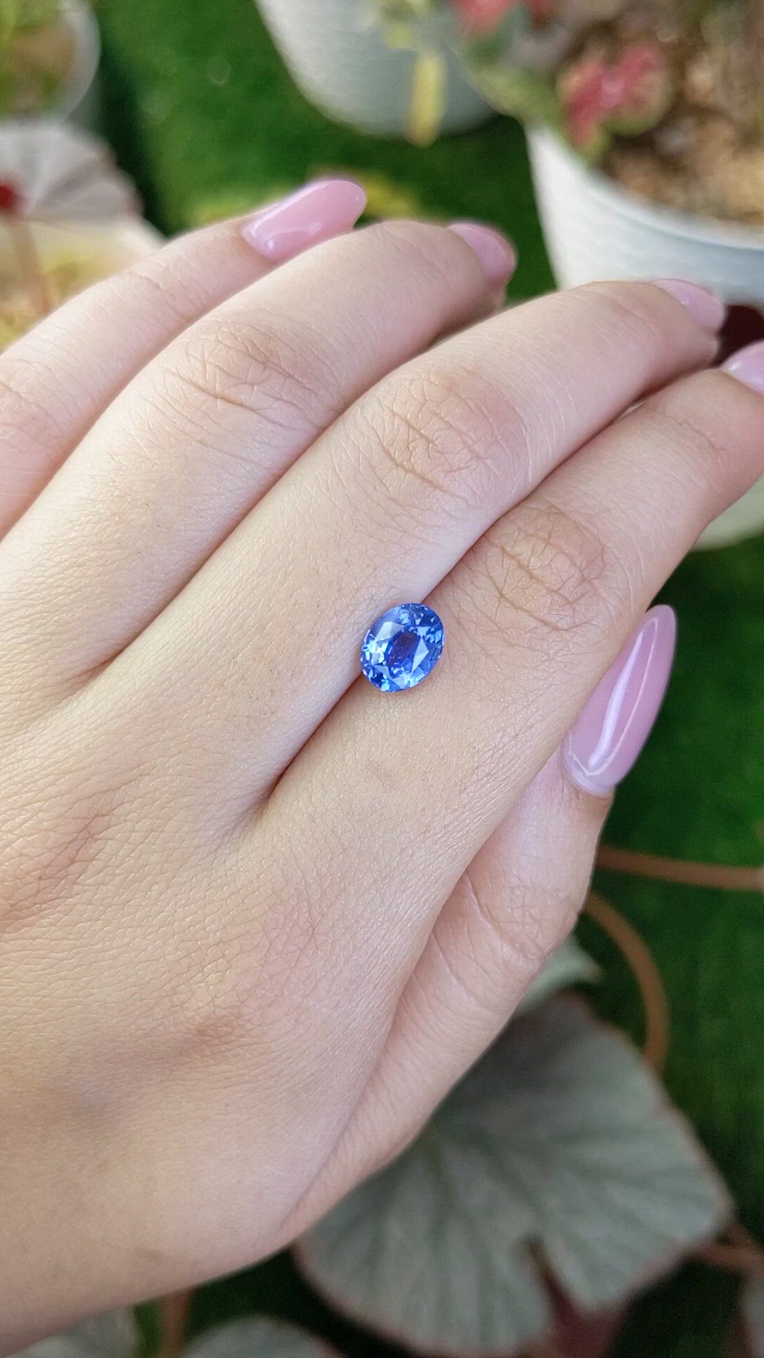 1.76 Ct. Blue Sapphire from Ceylon (Sri Lanka) Size Video